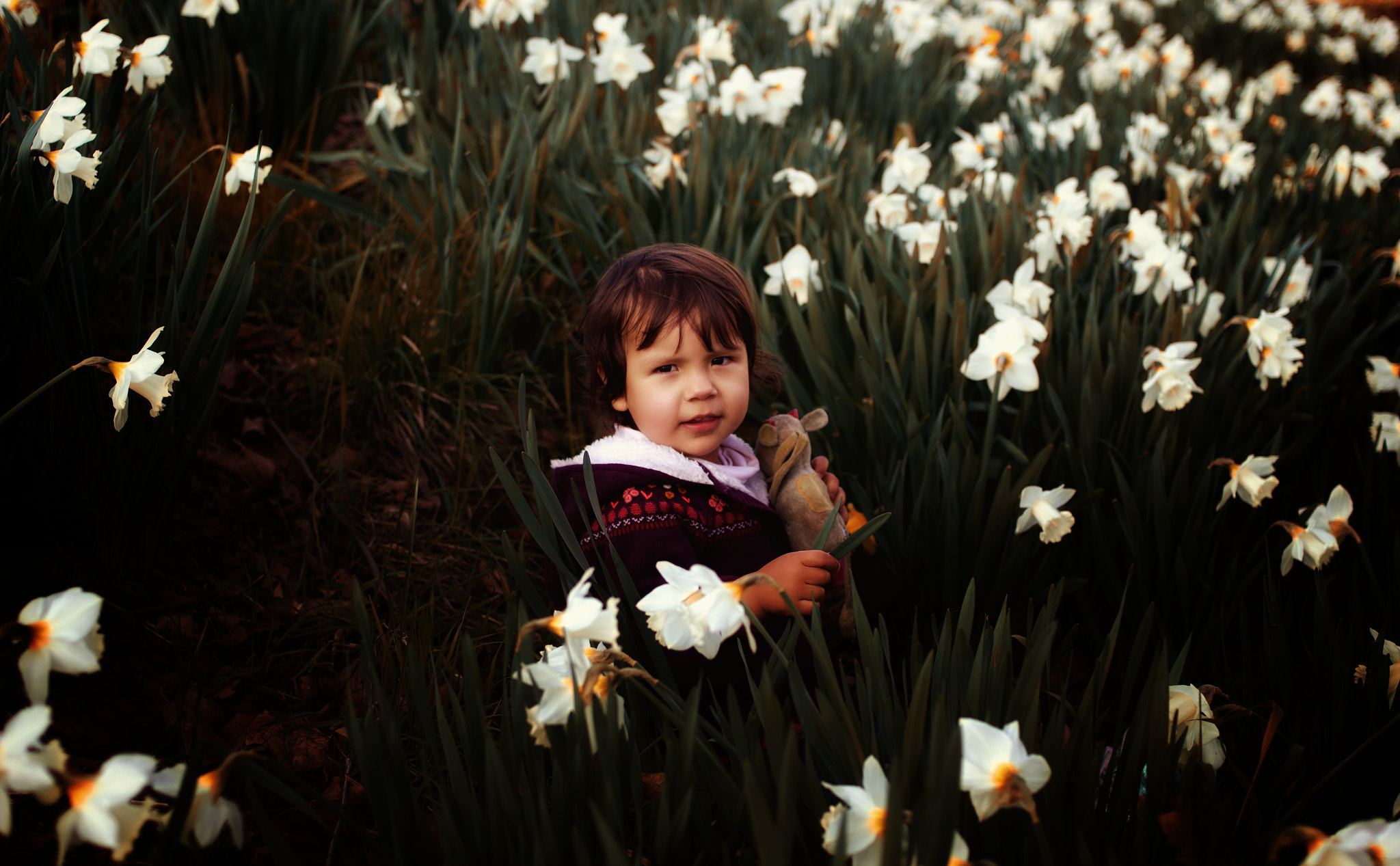 Canon EF 35mm F2 sample photo. Belleza - 3 ans photography