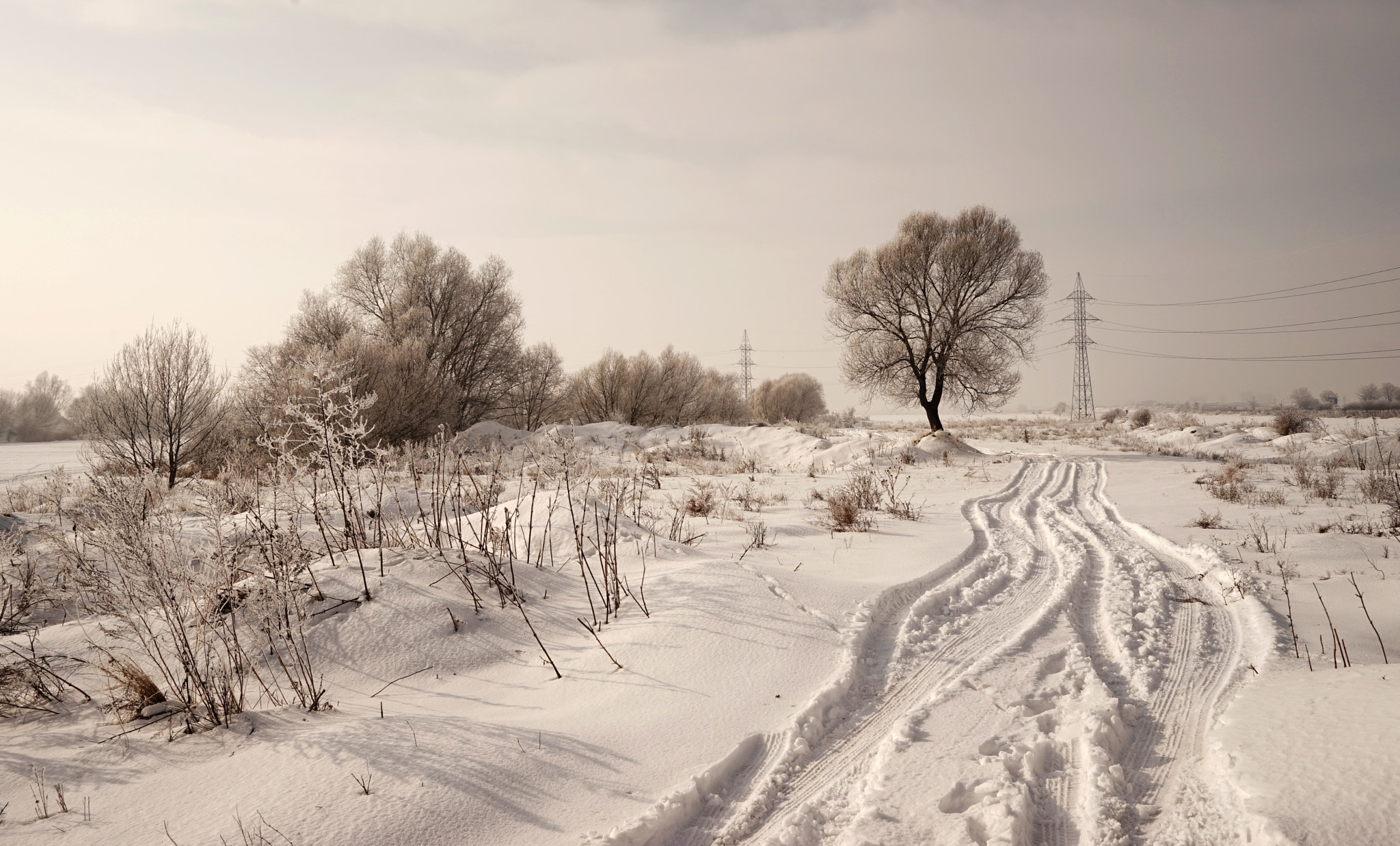 Sony a7 + Sony FE 28mm F2 sample photo. Road photography