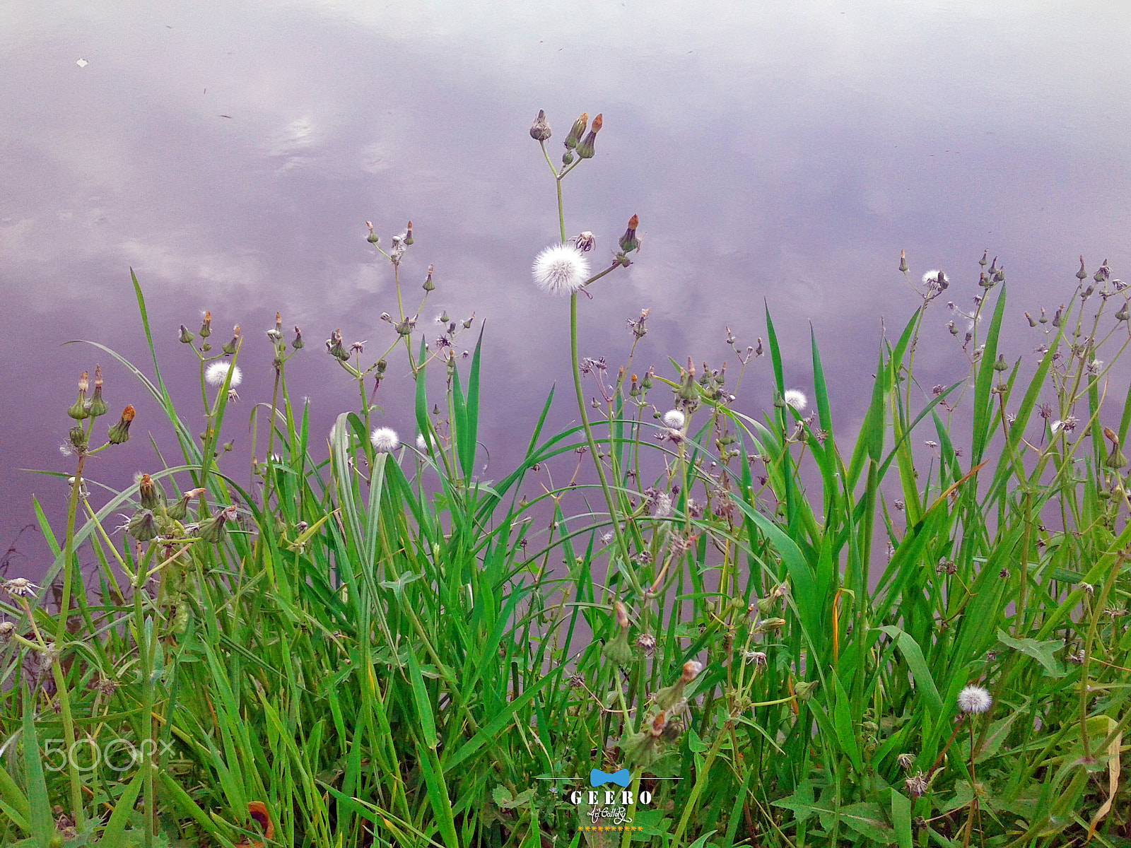 Samsung Galaxy Core sample photo. Summer tune photography