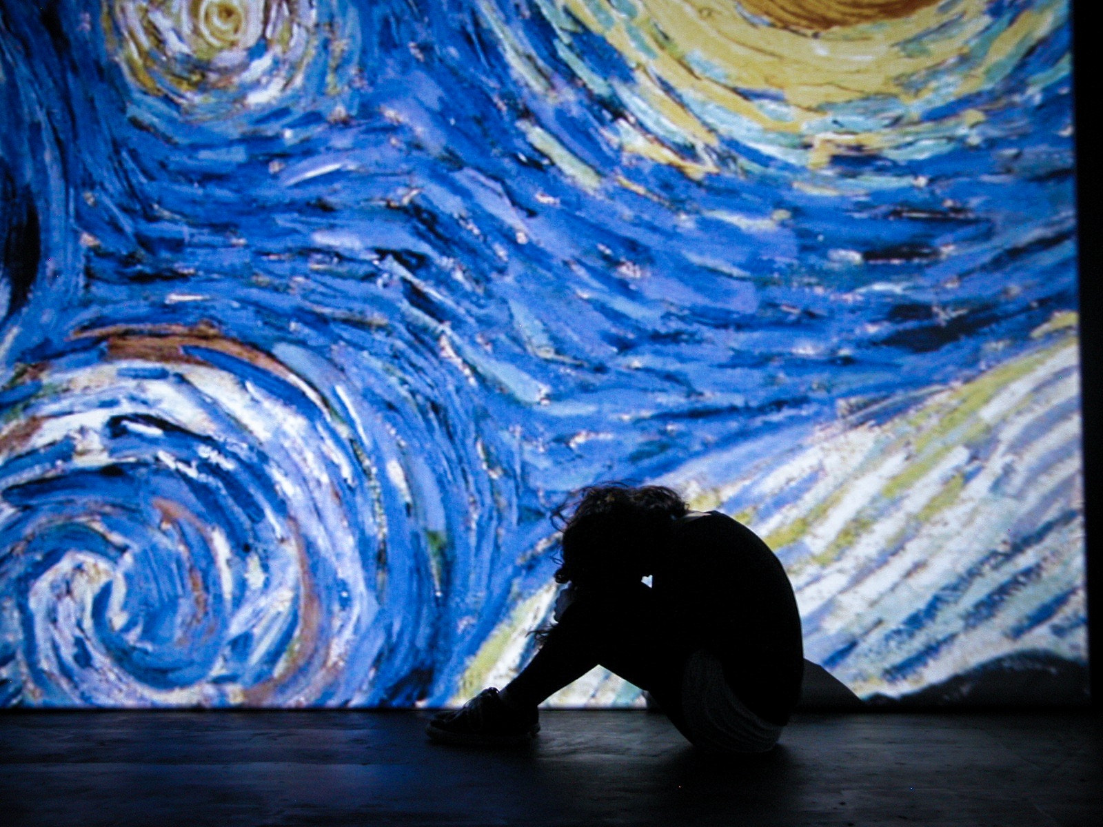 Nikon E5700 sample photo. Van gogh experience photography