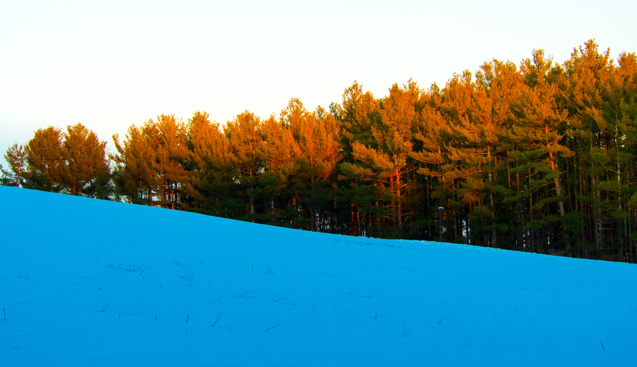 Olympus PEN E-PM2 sample photo. Sun & snow photography