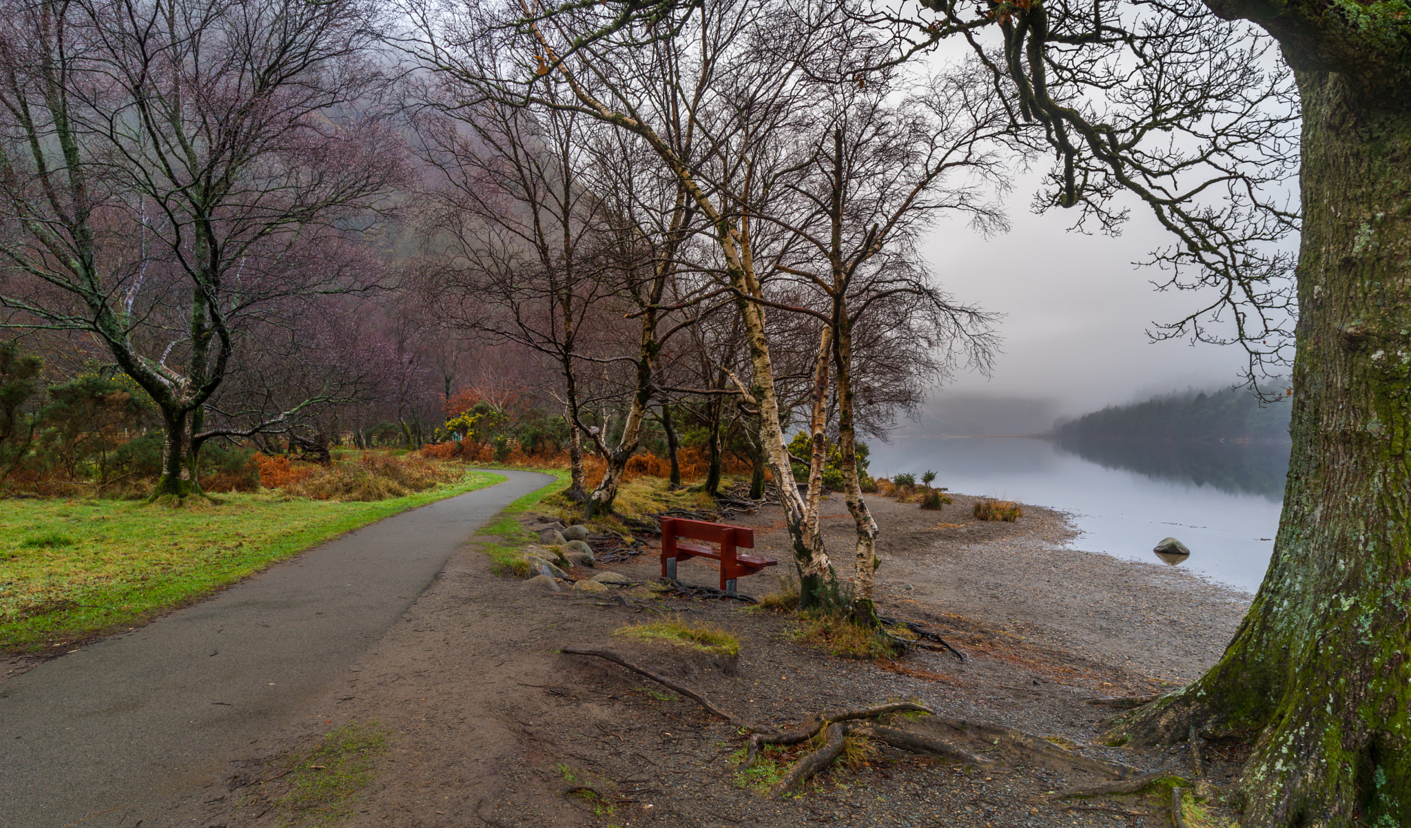 Sony a99 II sample photo. Glendalough morning. photography