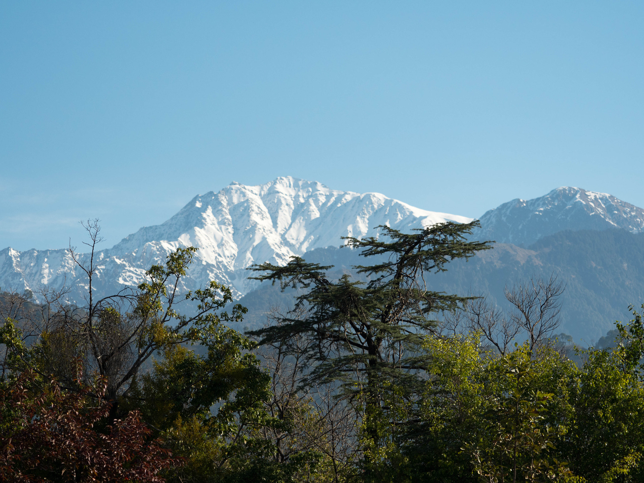 Olympus M.Zuiko Digital ED 40-150mm F2.8 Pro sample photo. Dhauladhar range #2 photography