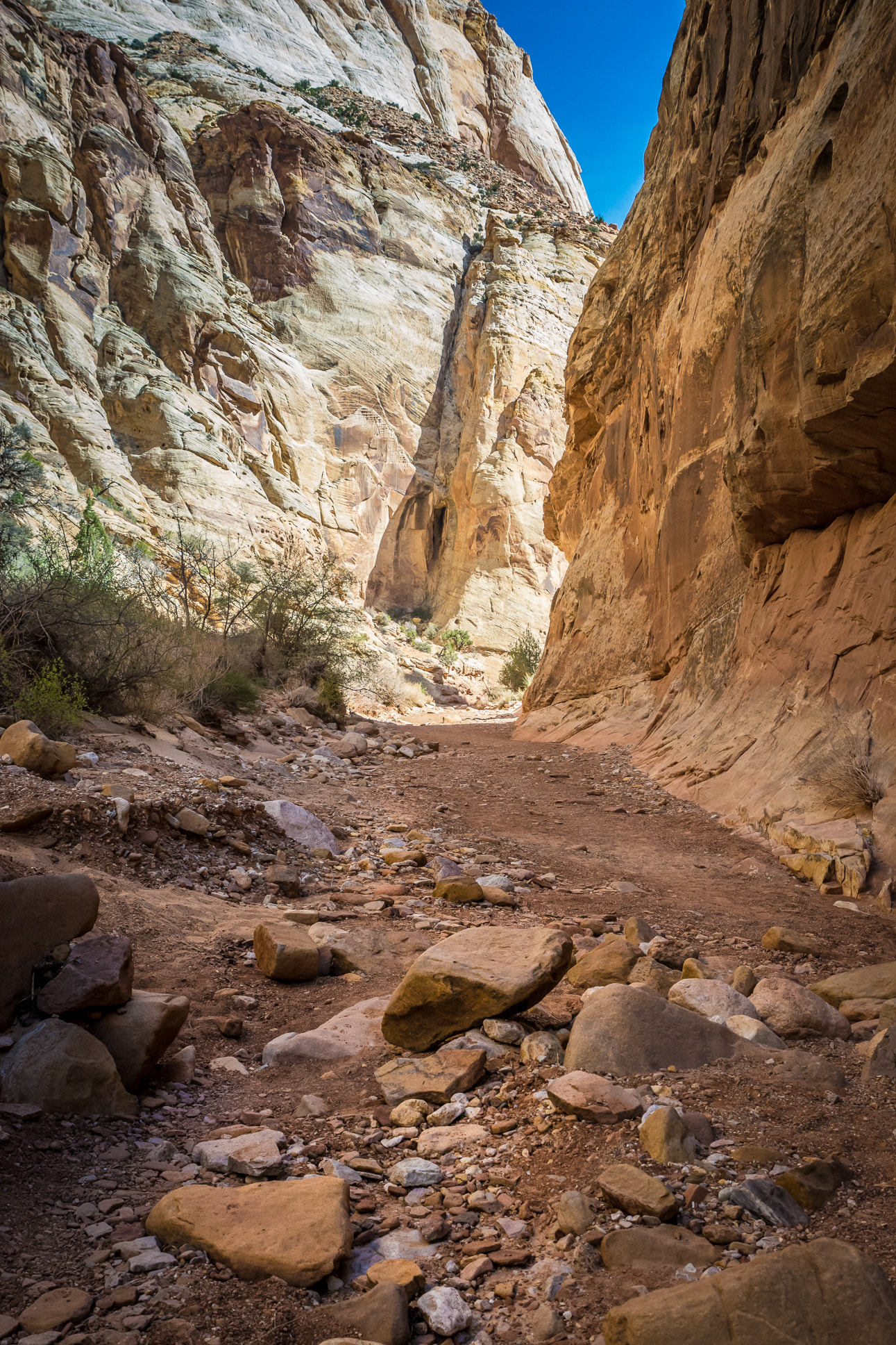 Tamron SP 24-70mm F2.8 Di VC USD sample photo. Dry river photography