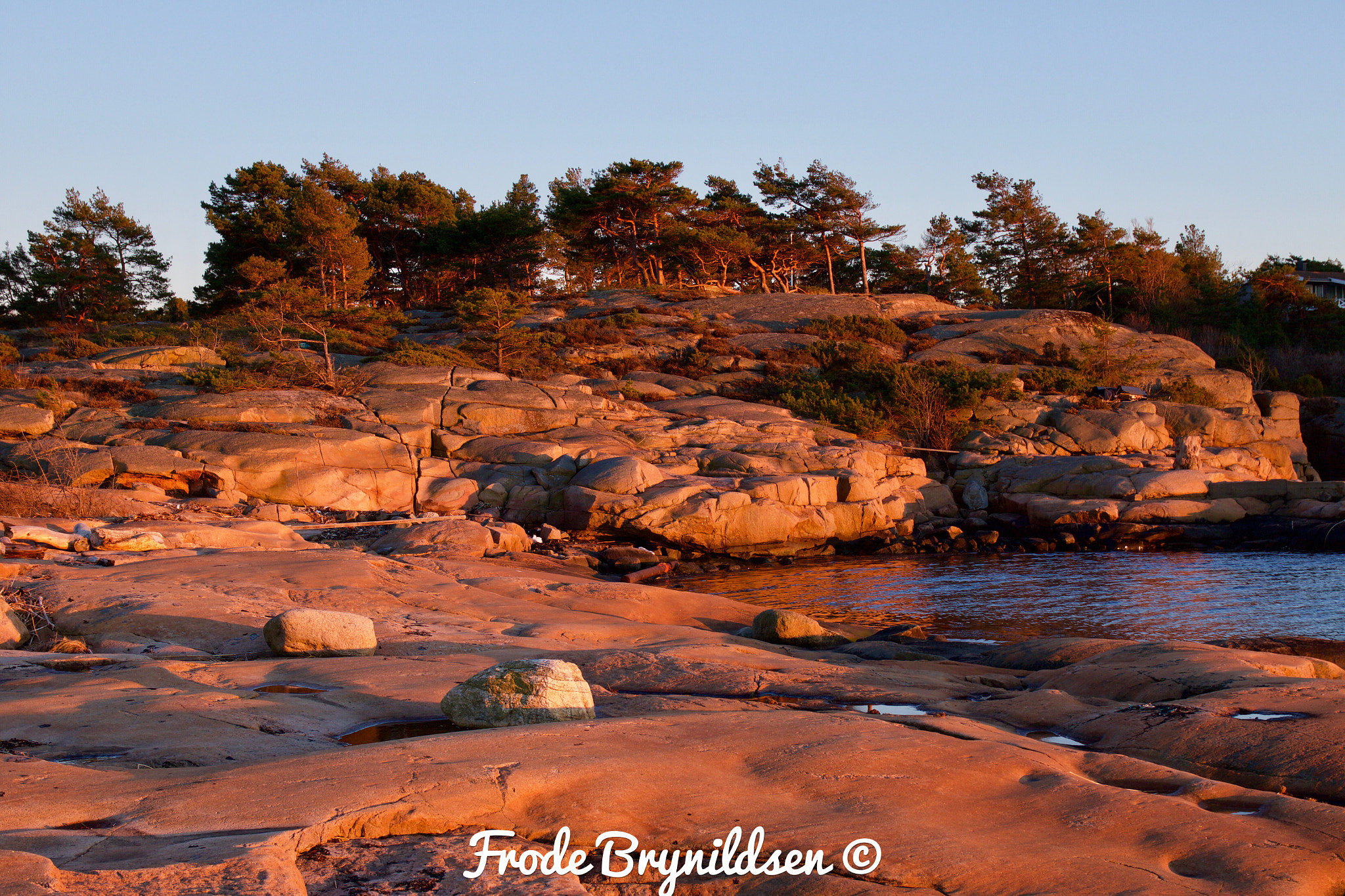 Canon EOS 7D Mark II + Sigma 17-70mm F2.8-4 DC Macro OS HSM sample photo. No filter or edit done to this picture. strait out of the camera. beutiful light in the sunset. photography