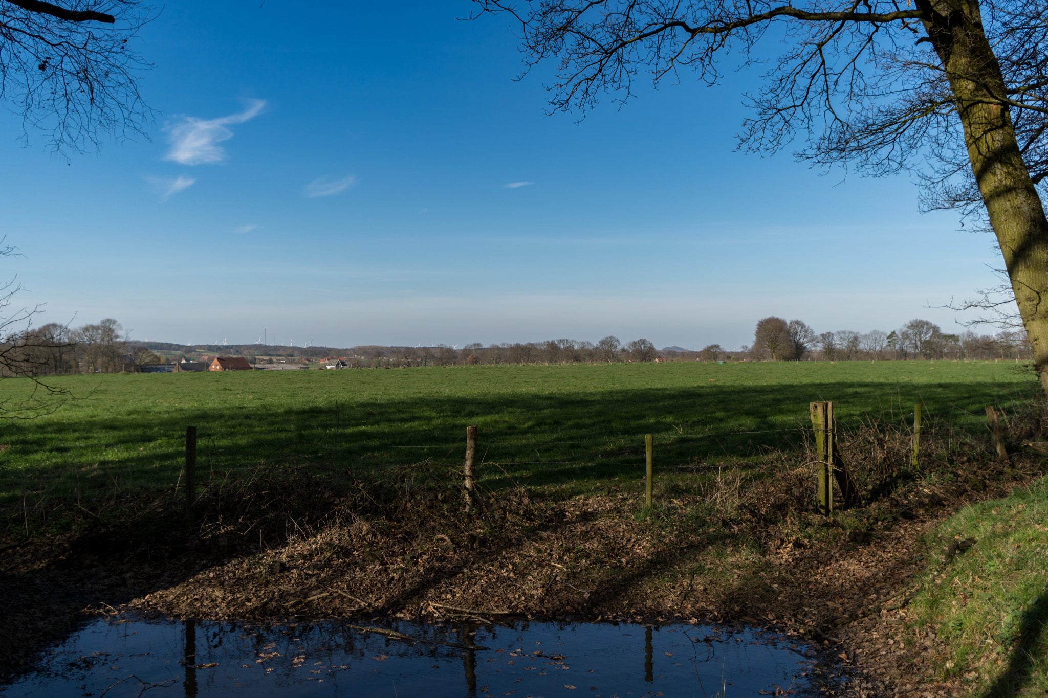 Sony a6300 + Sony E 20mm F2.8 sample photo. Meadow. photography