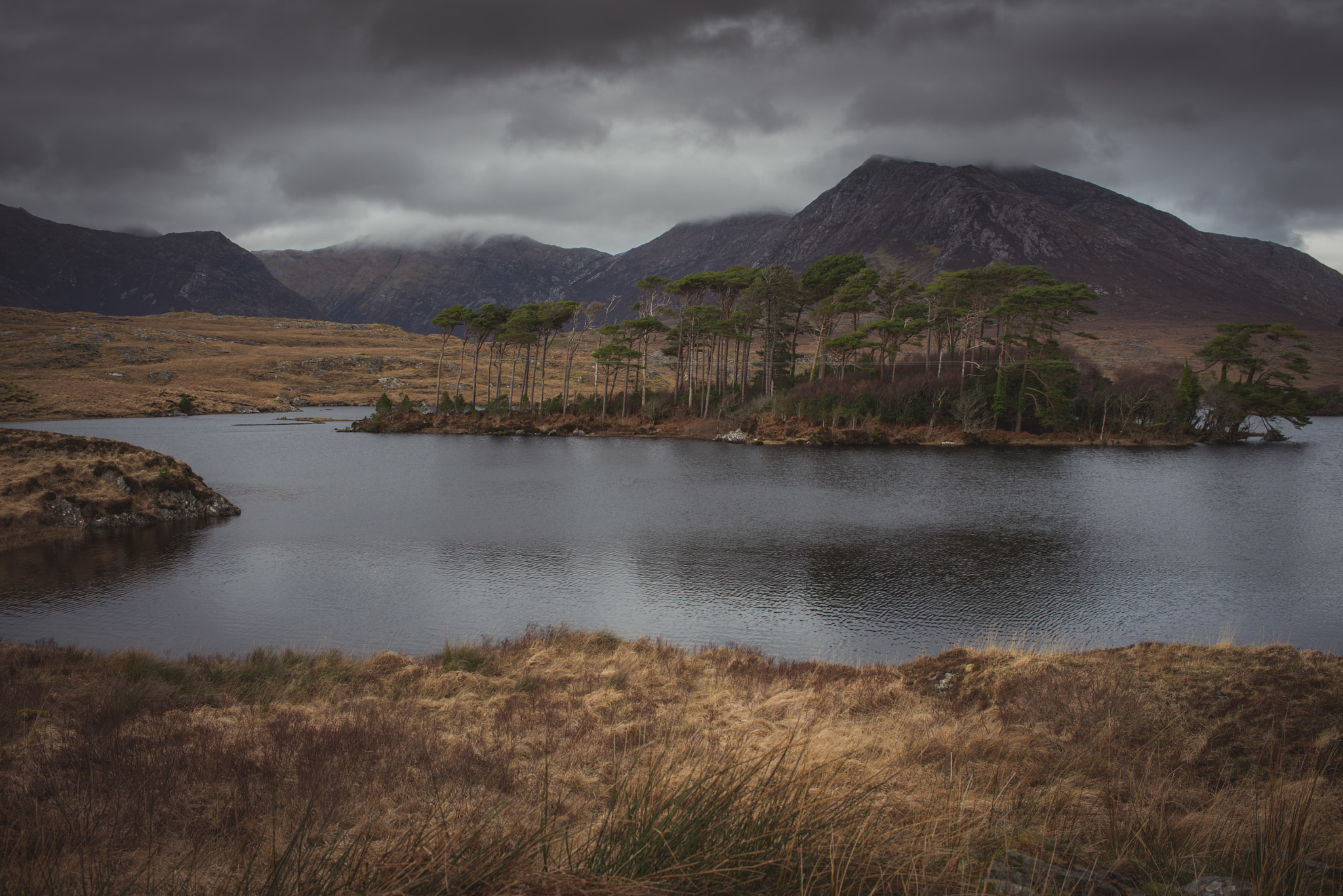 Nikon D800 sample photo. The 12 pines of connemara photography
