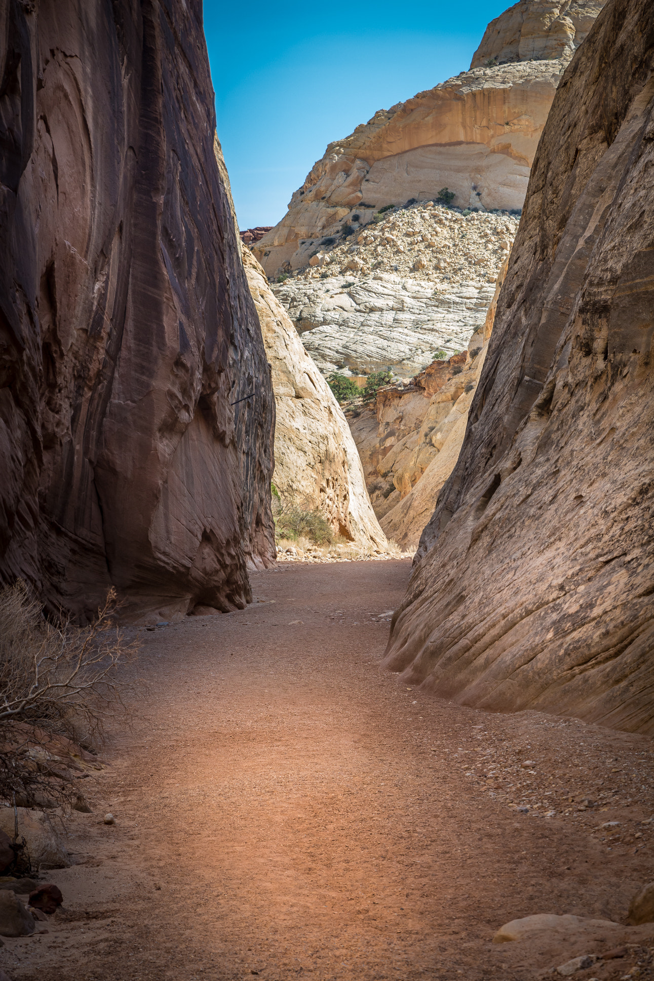 Tamron SP 24-70mm F2.8 Di VC USD sample photo. Exposing the path photography