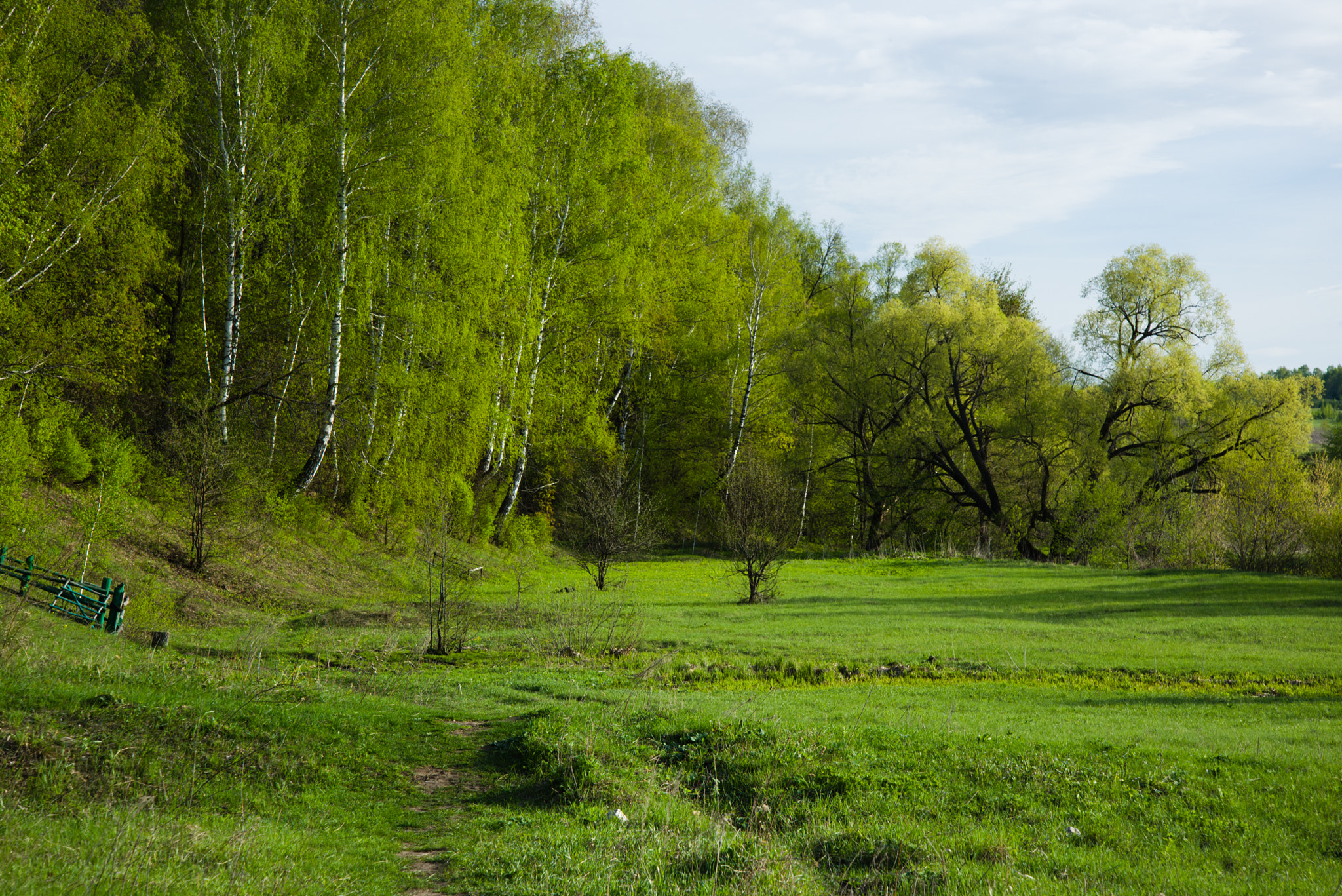 Nikon D810 sample photo. Spring photography