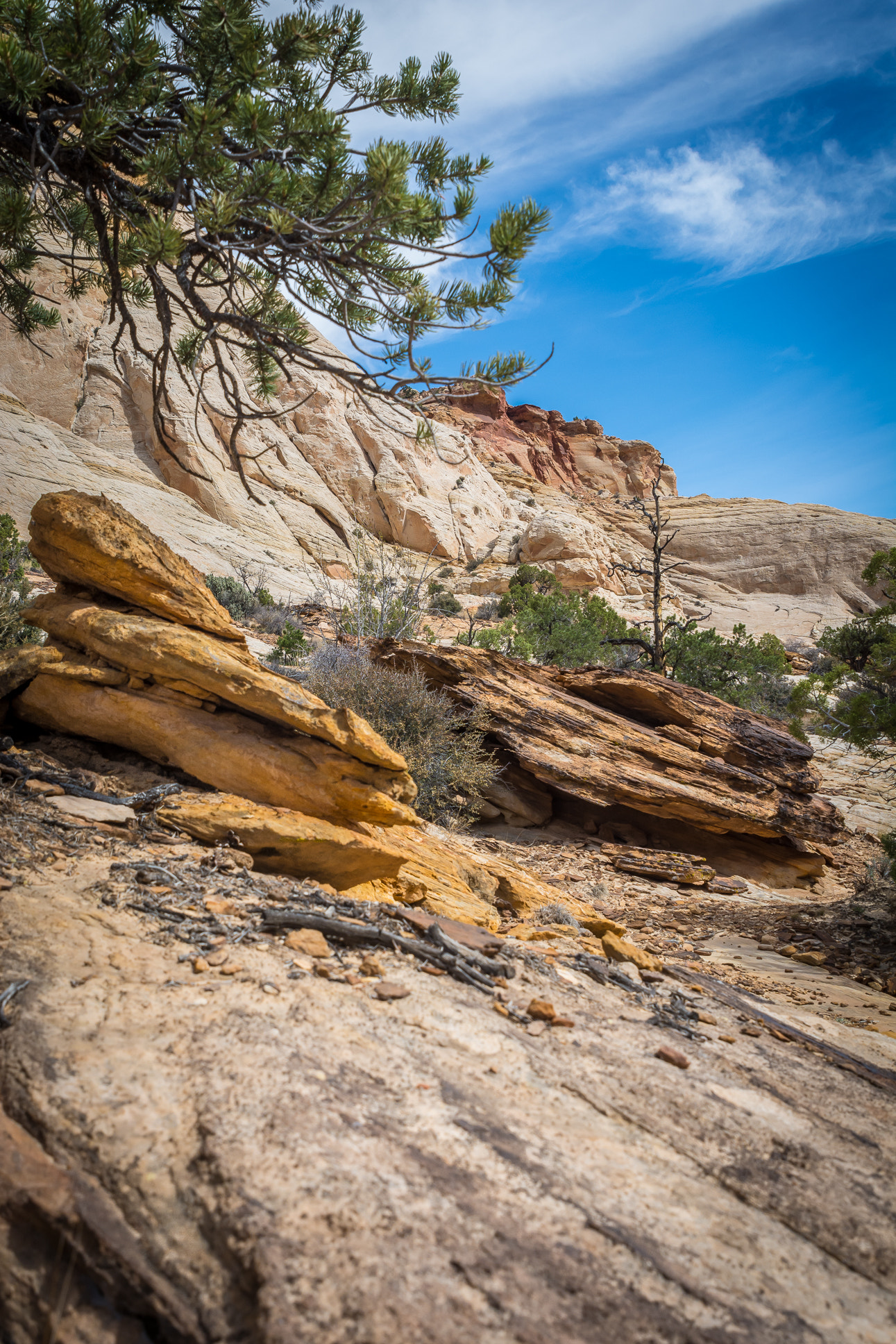 Tamron SP 24-70mm F2.8 Di VC USD sample photo. Dry rocks below the cliff photography