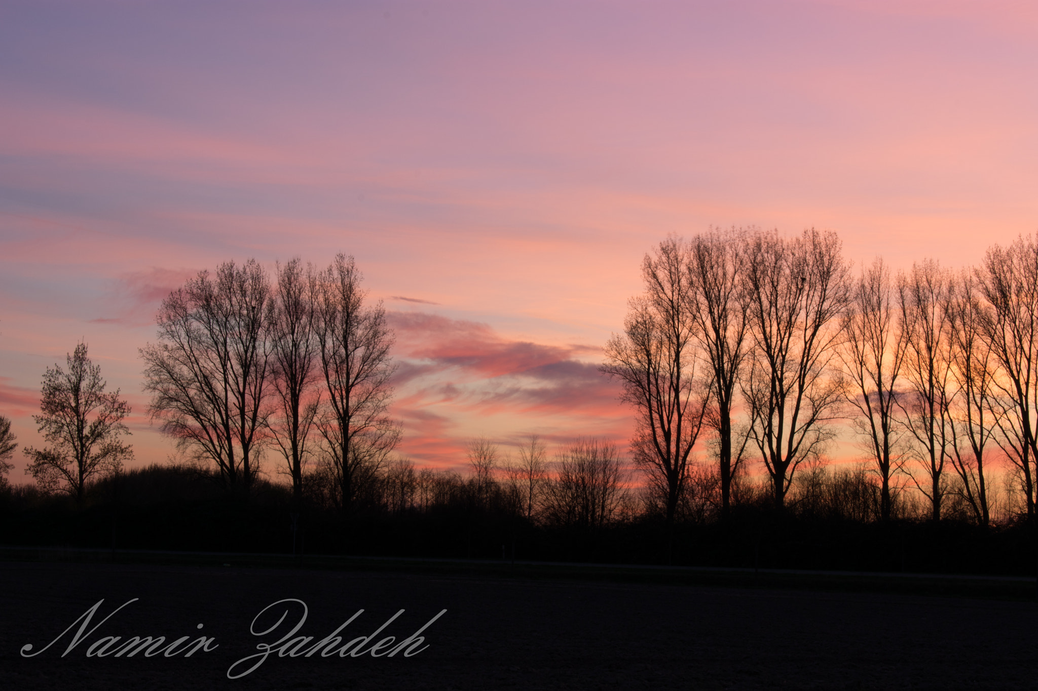 Nikon D3400 sample photo. Trees photography