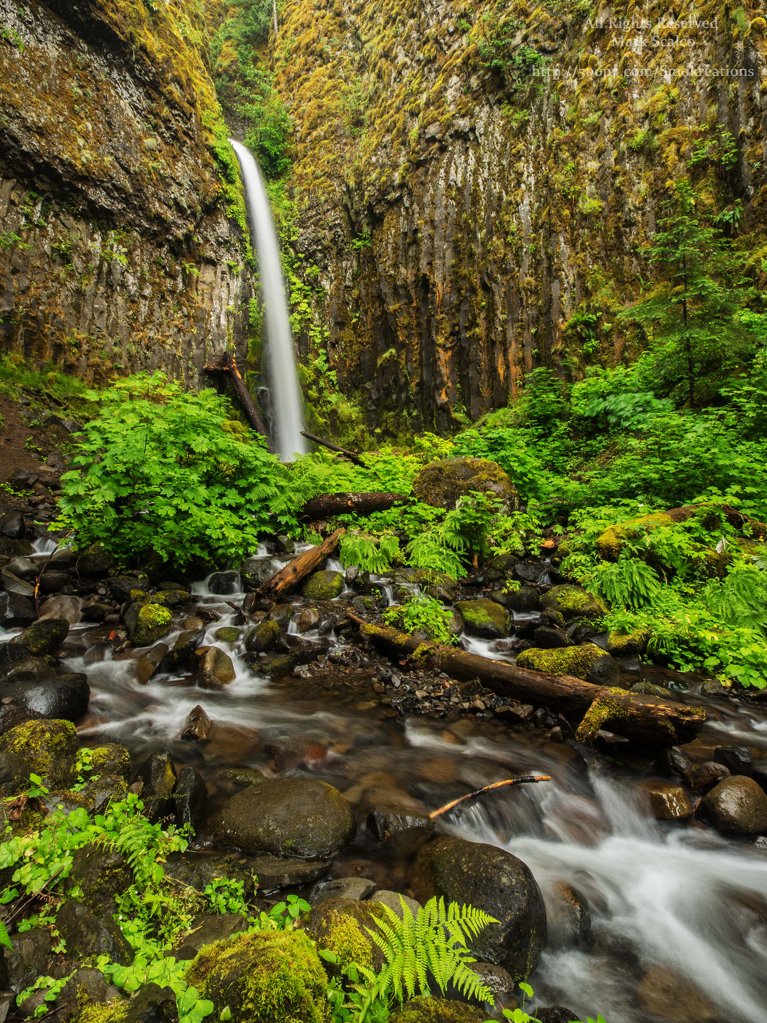 Olympus Zuiko Digital ED 9-18mm F4.0-5.6 sample photo. Dry creek falls, or 1 photography