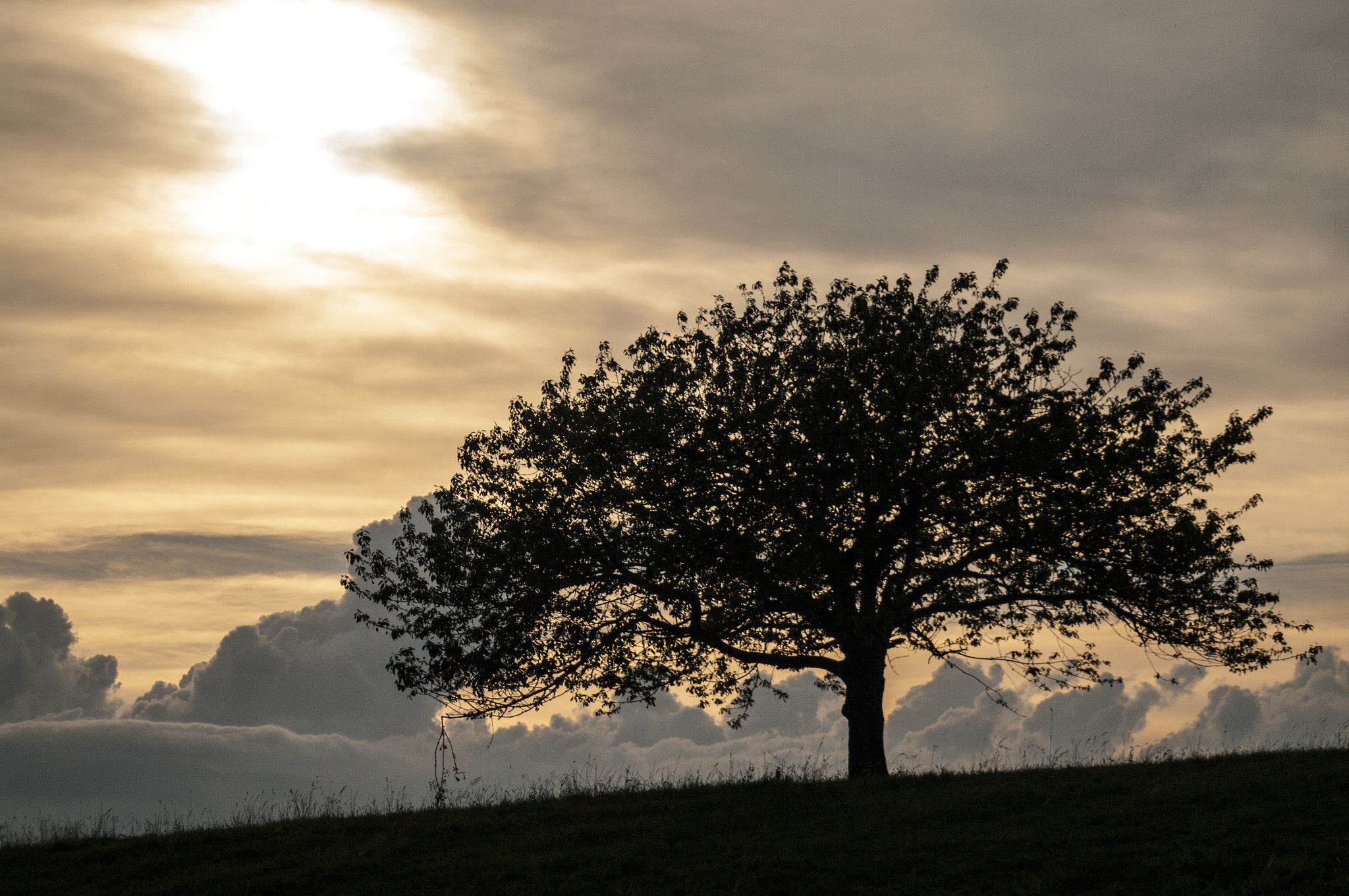 Pentax K-7 sample photo. Ferme les yeux, endors toi photography