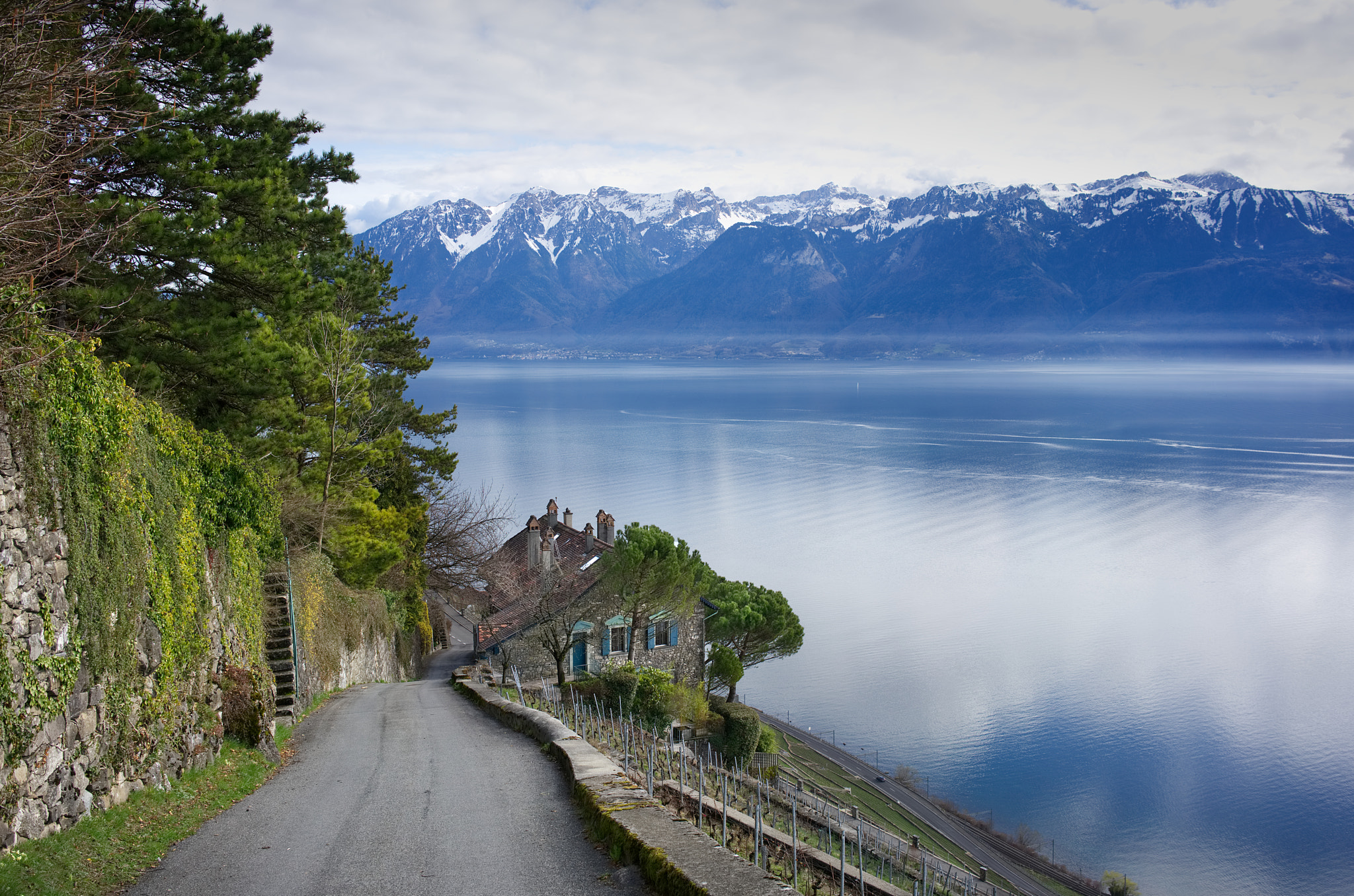 Sony a7R II + Sony Sonnar T* FE 35mm F2.8 ZA sample photo. Lavaux, a house with a luminous view photography