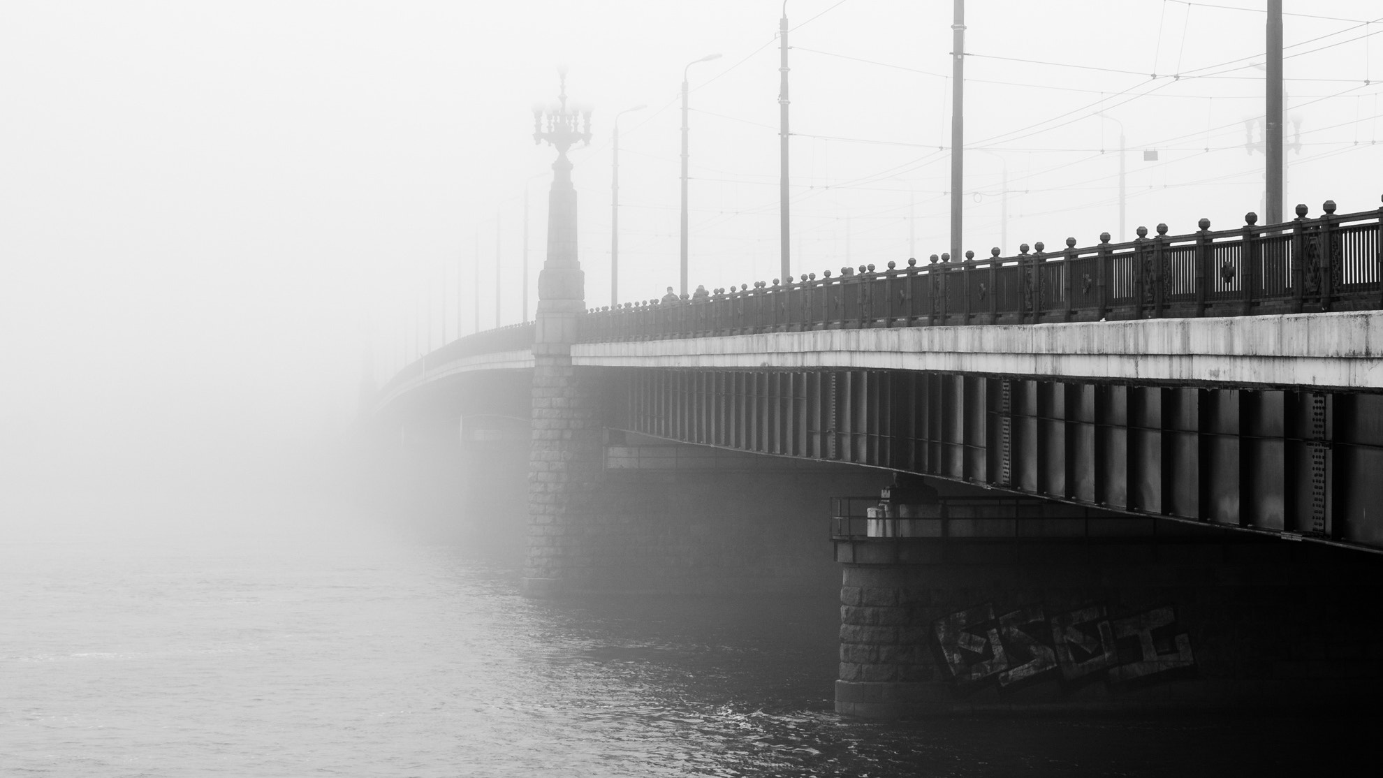 Nikon D7000 + Nikon AF-S Nikkor 50mm F1.8G sample photo. Embraced by the mist. photography