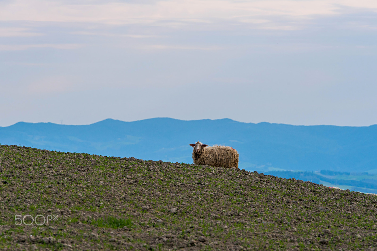 Tamron SP 70-200mm F2.8 Di VC USD sample photo. Volterra - sp16 of the monte volterrano 2 photography