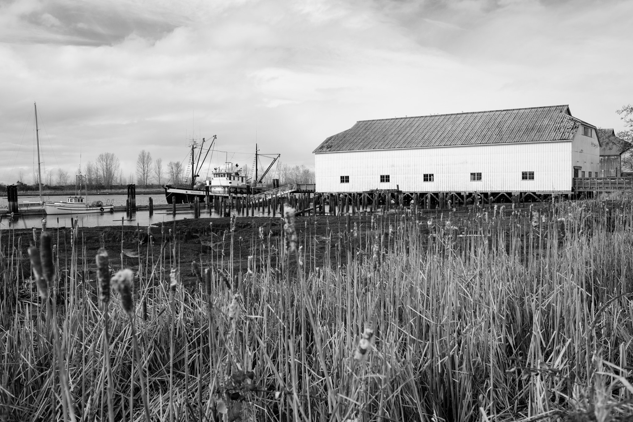 Fujifilm X-T2 sample photo. Old shipyard photography