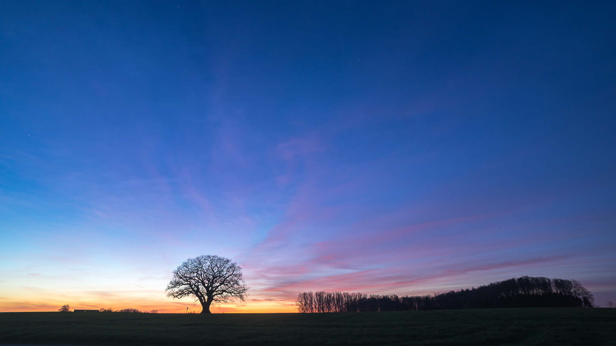 AF Nikkor 20mm f/2.8 sample photo. Under the wide evening sky photography