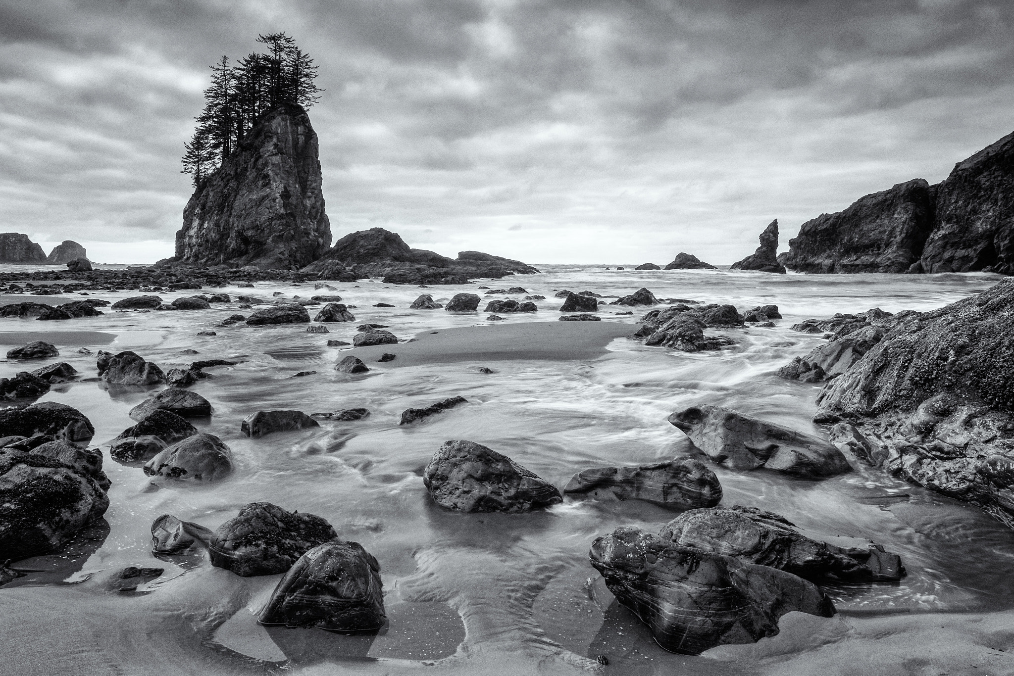 Canon EOS-1D X sample photo. Receding tide, clearing storm. second beach, la push. photography