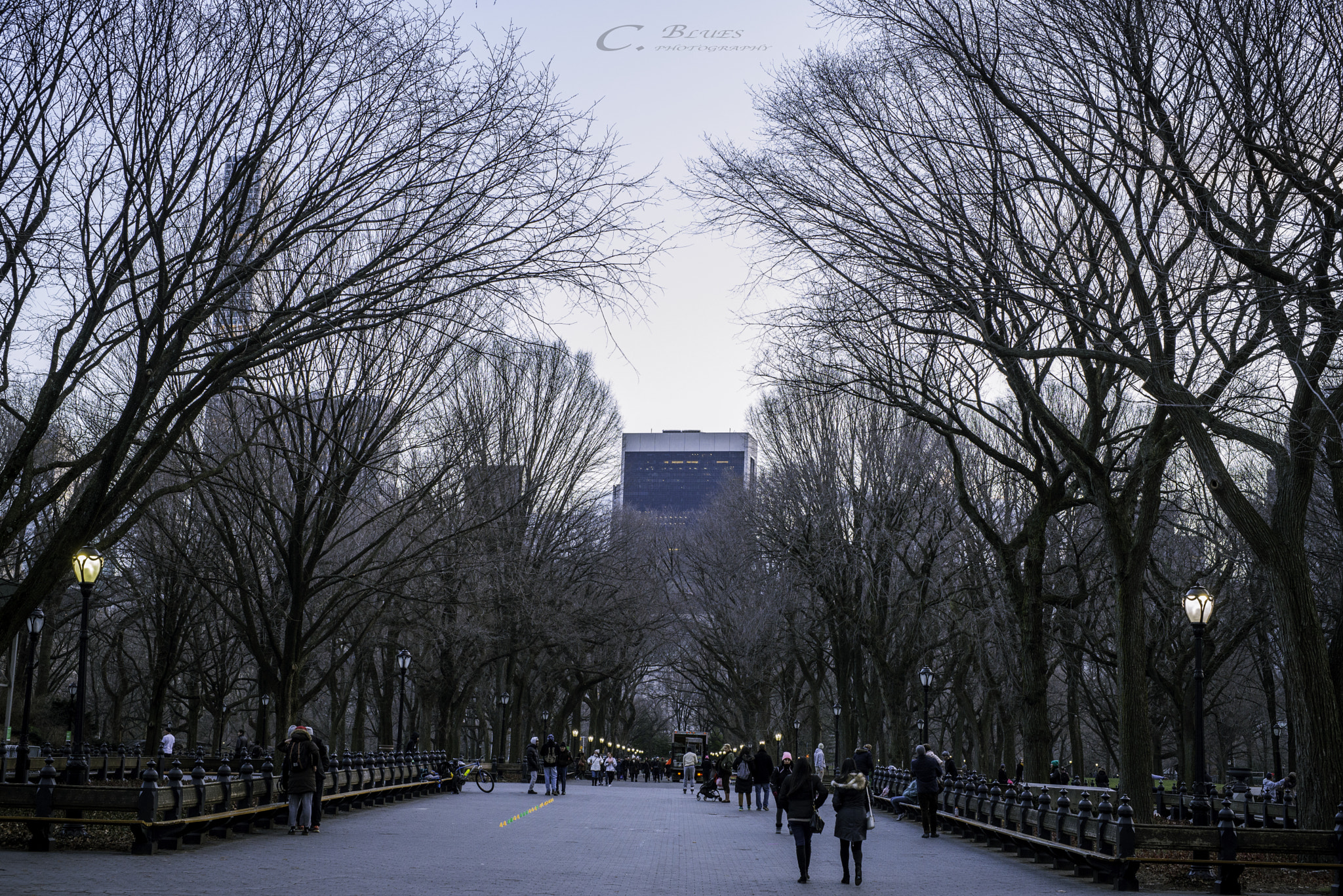 Nikon D610 sample photo. Central park photography