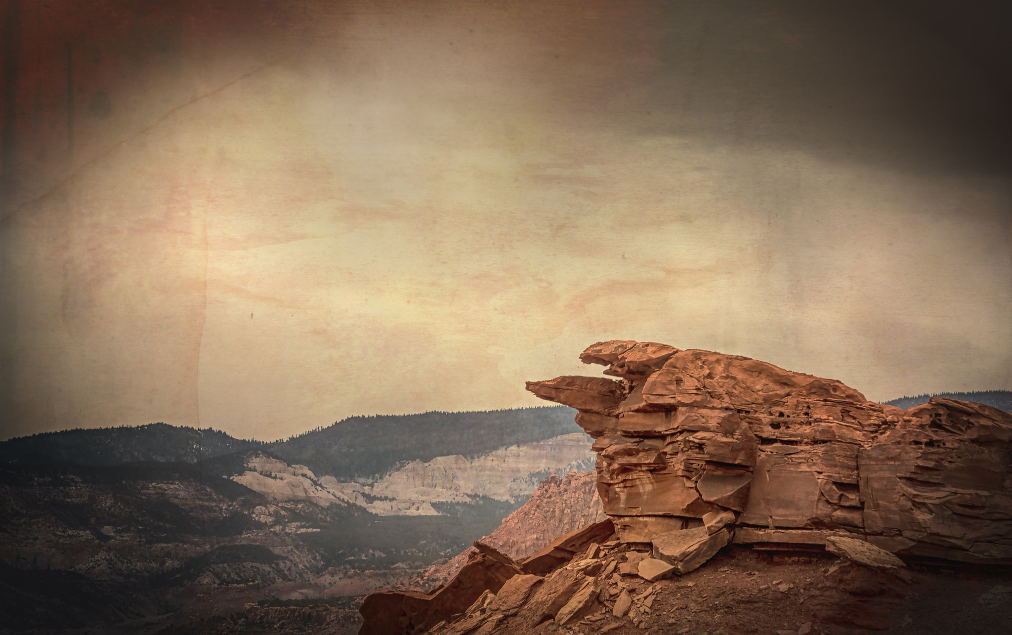 Nikon D90 sample photo. Petrified beasts photography