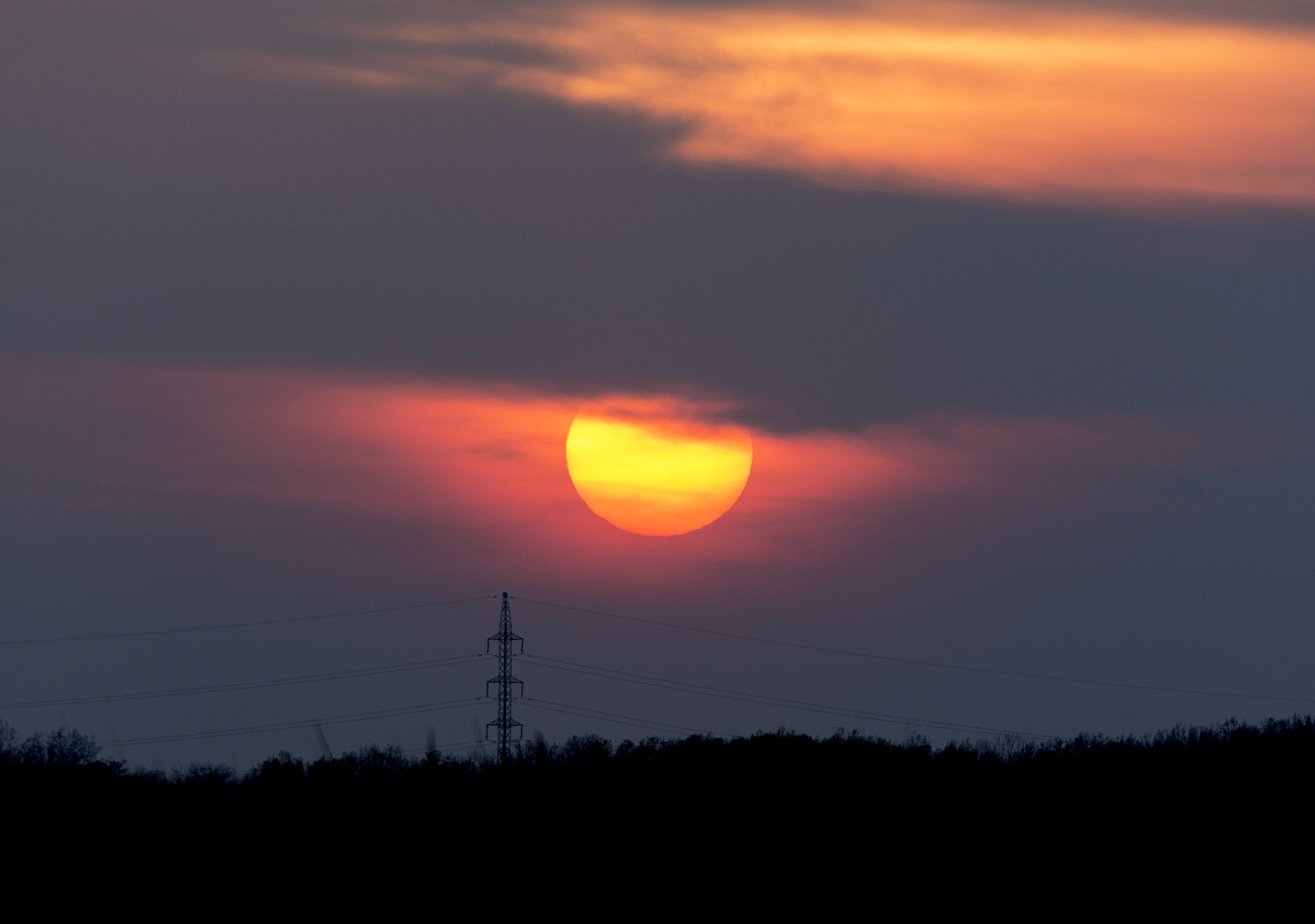 Sigma 150-500mm F5-6.3 DG OS HSM sample photo. Angry eye photography