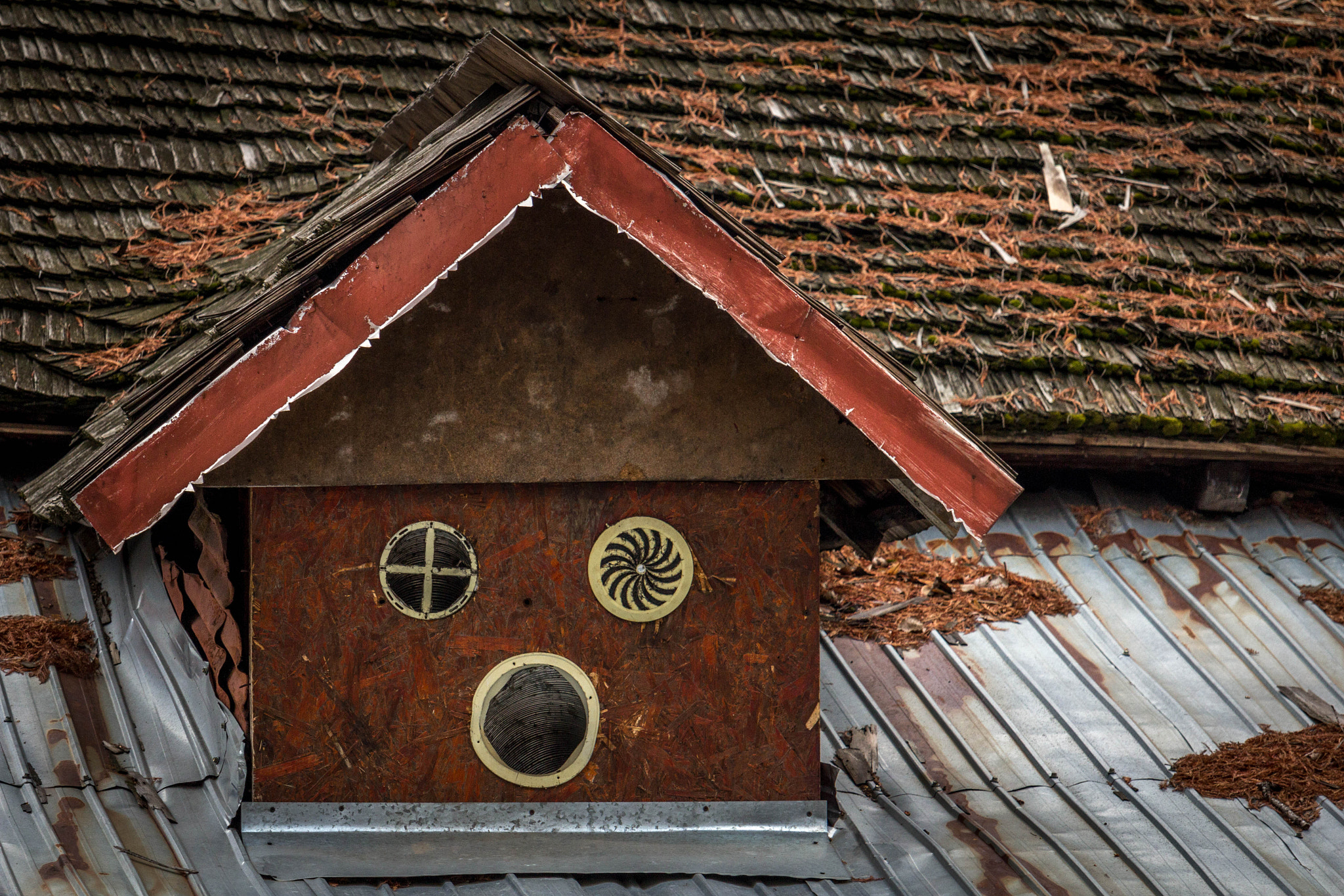 Canon EF-S 55-250mm F4-5.6 IS STM sample photo. Architecture's face photography