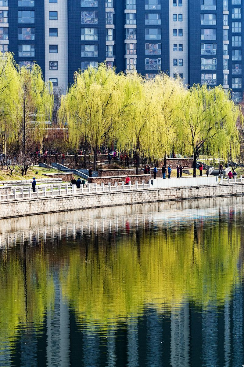 Olympus M.Zuiko Digital ED 40-150mm F2.8 Pro sample photo. Spring city/春城 photography