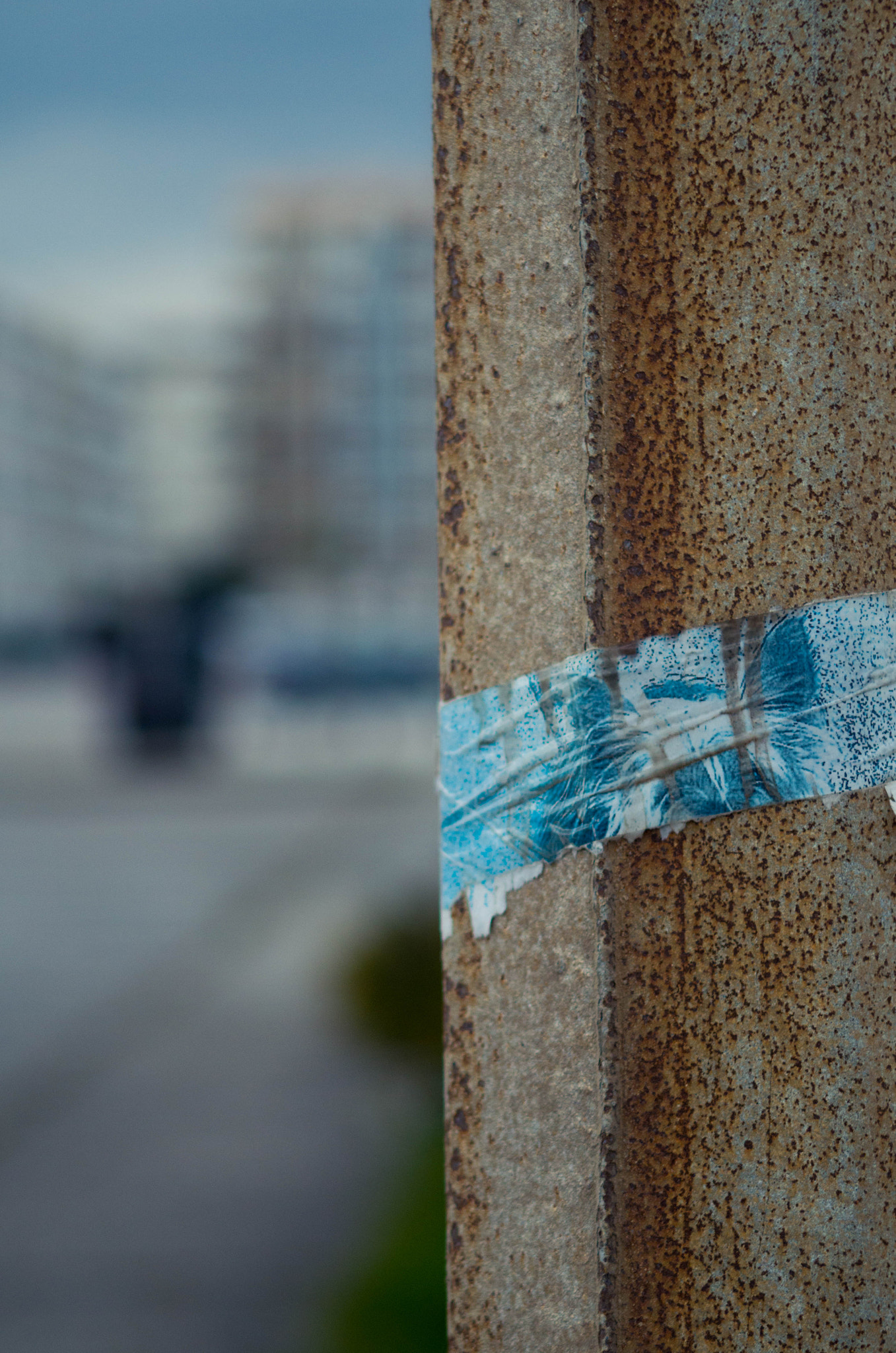 Pentax K-50 + Tamron AF 80-210mm F4-5.6 (178D) sample photo. The pole that wears a bandana photography