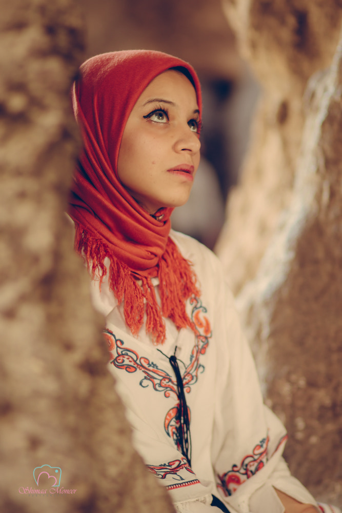 Canon EOS 70D + Canon EF 85mm F1.8 USM sample photo