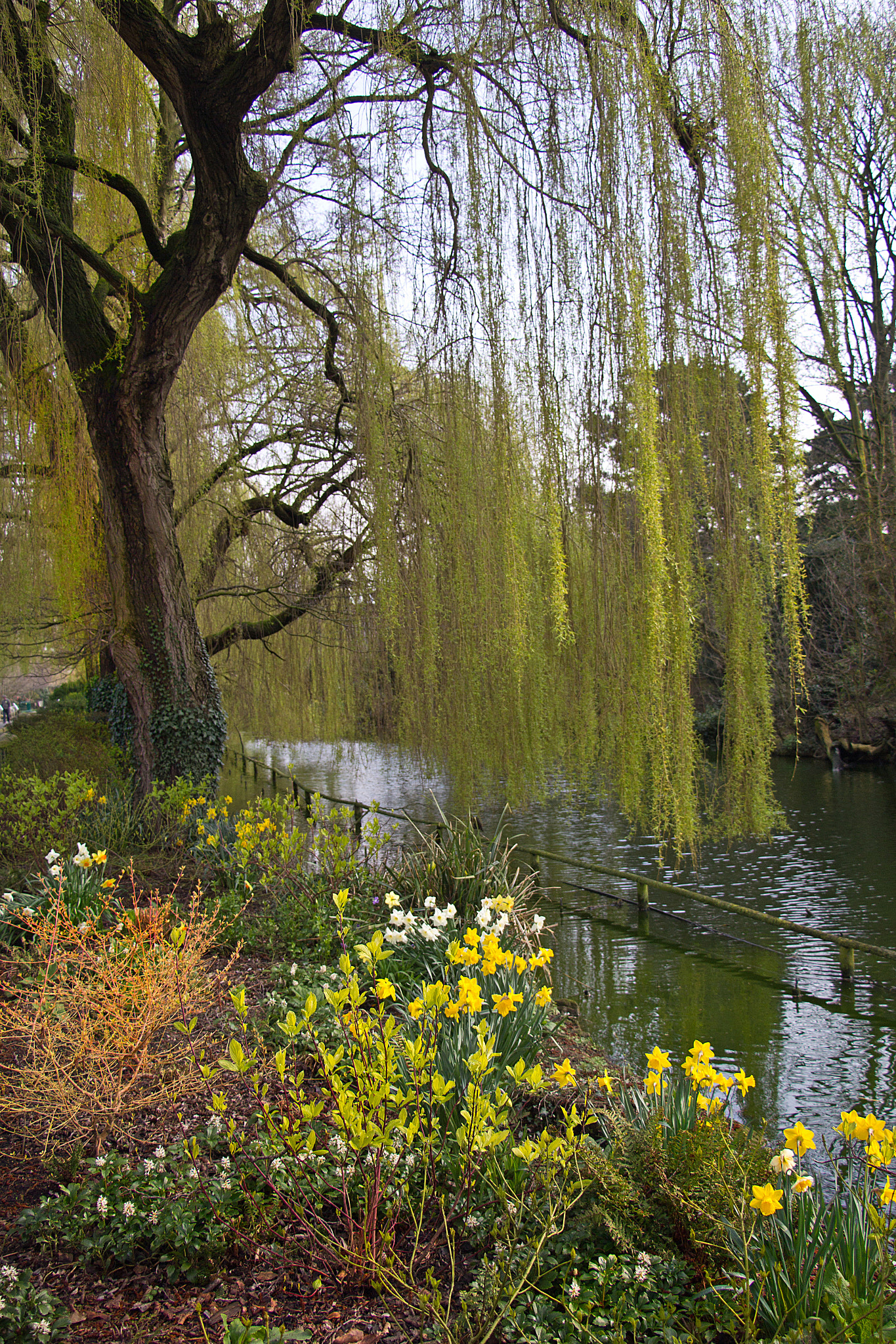 Canon EOS 60D sample photo. Spring ! photography