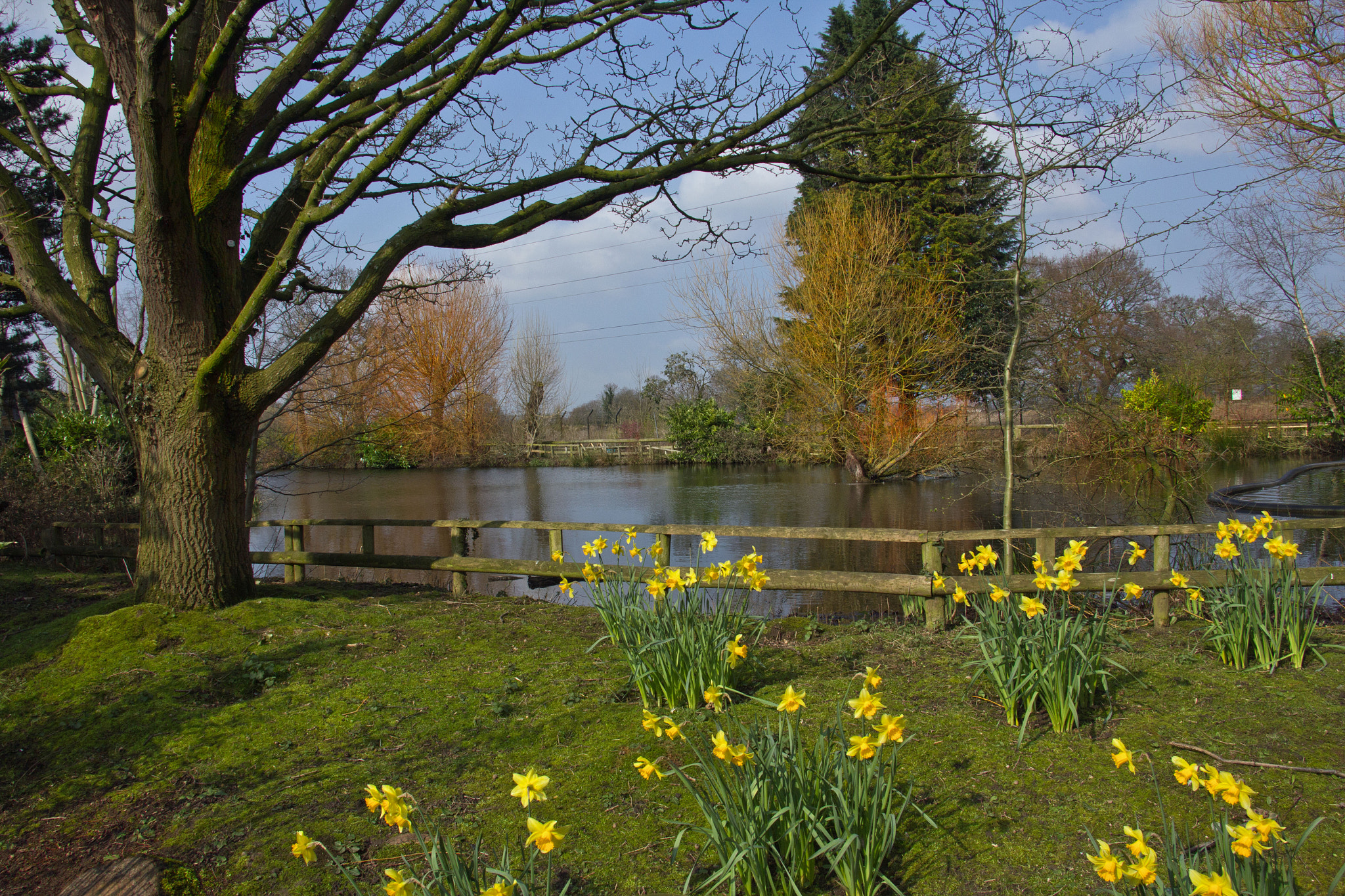 Canon EOS 60D sample photo. Spring ! photography