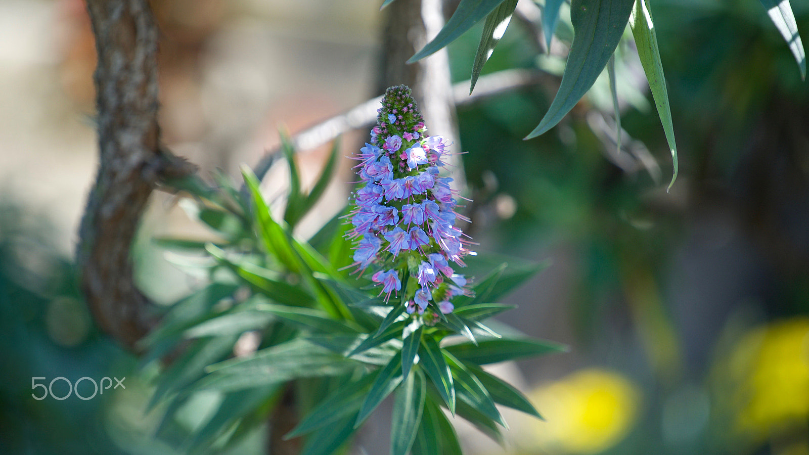 Sony a7S II + Sony FE 70-200mm F4 G OSS sample photo. Or i could slide to the right for awhile photography