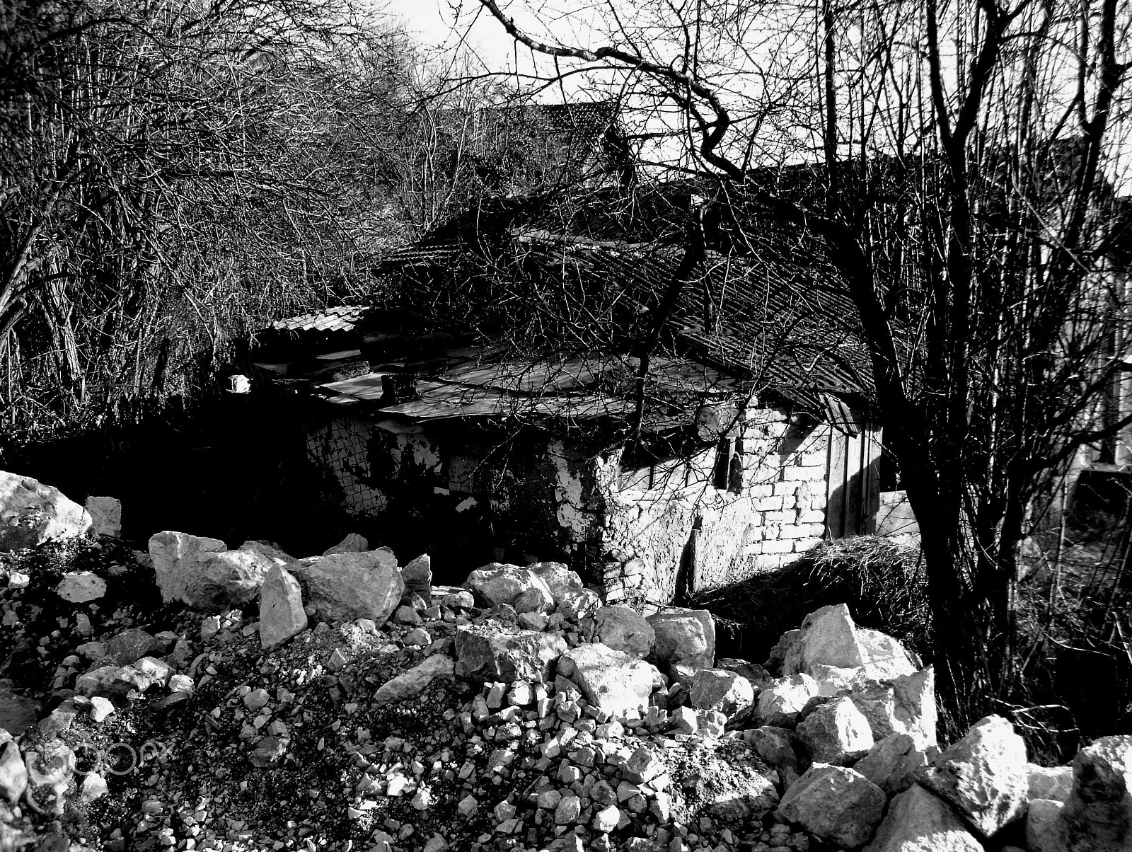 Agfa DC-1033m sample photo. Old photography