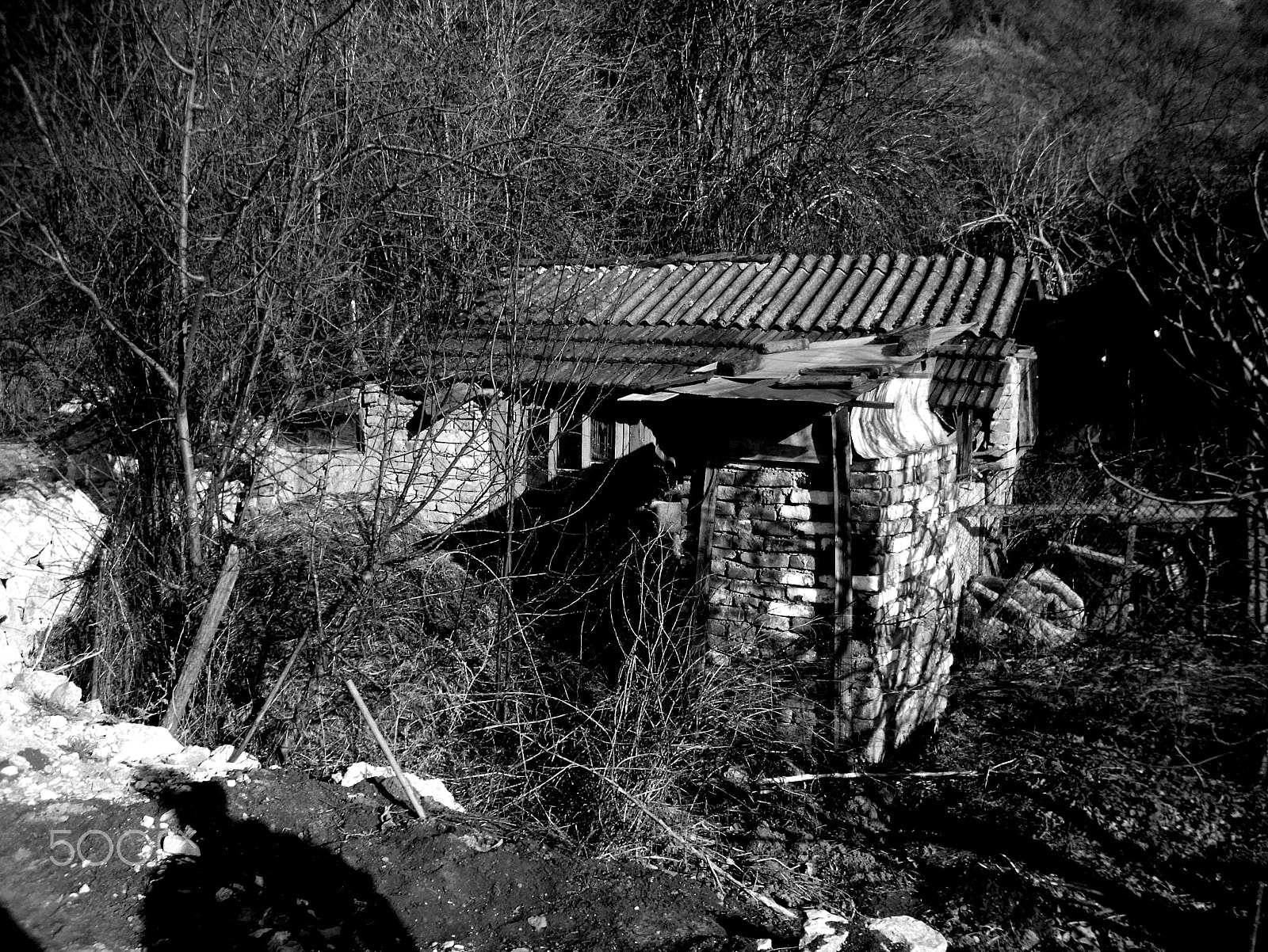 Agfa DC-1033m sample photo. Old photography