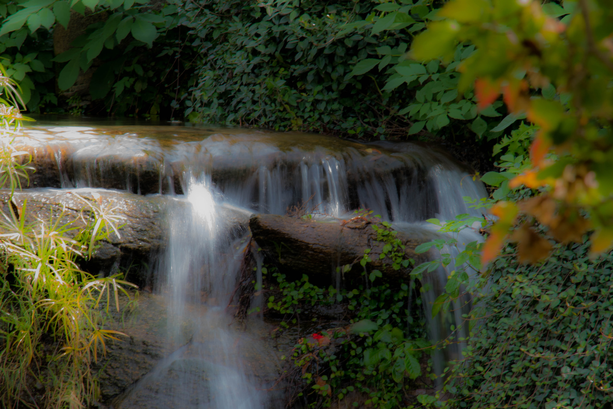 Nikon D5500 sample photo. Japanese garden photography