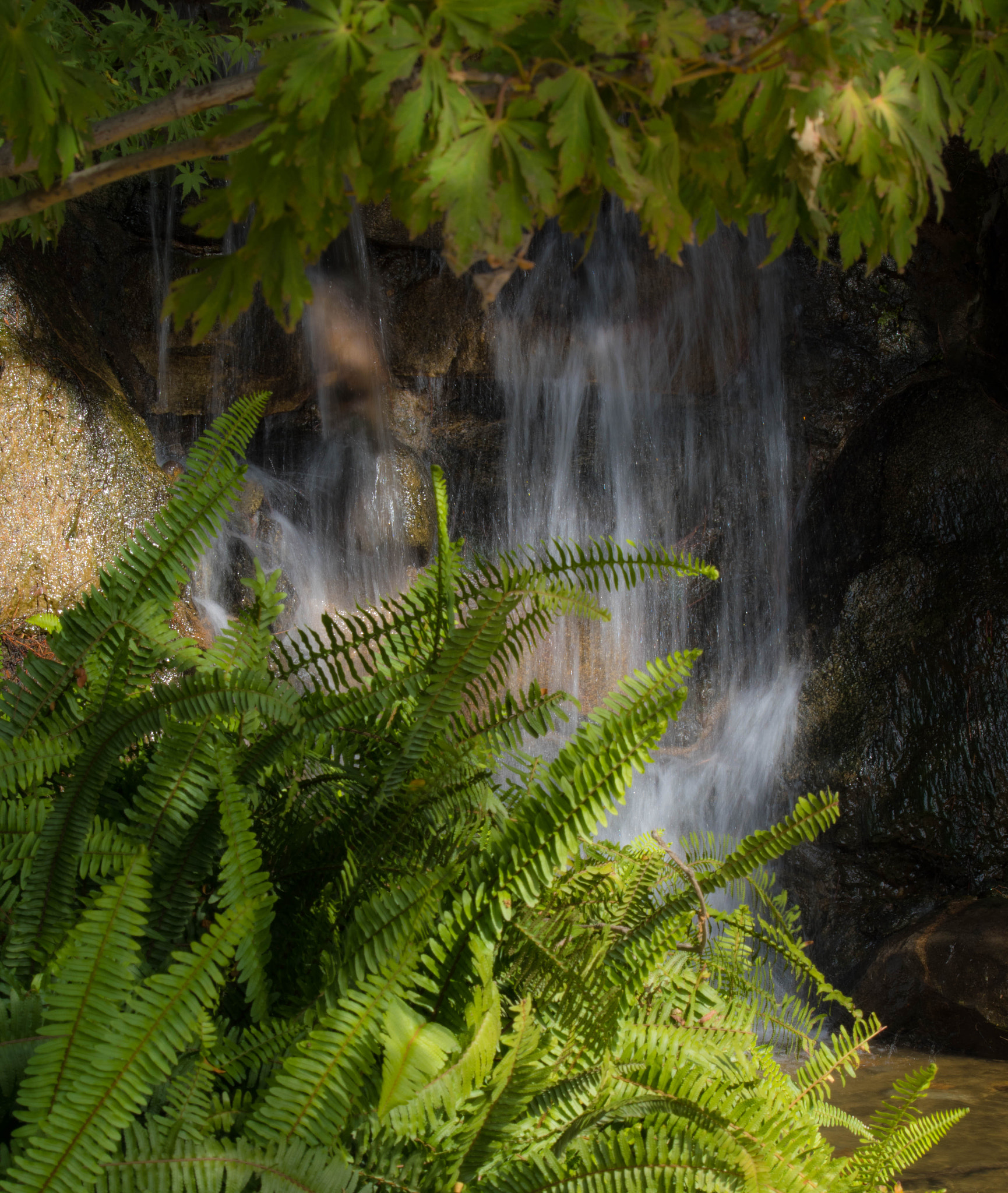 Nikon D5500 sample photo. Japanese garden photography
