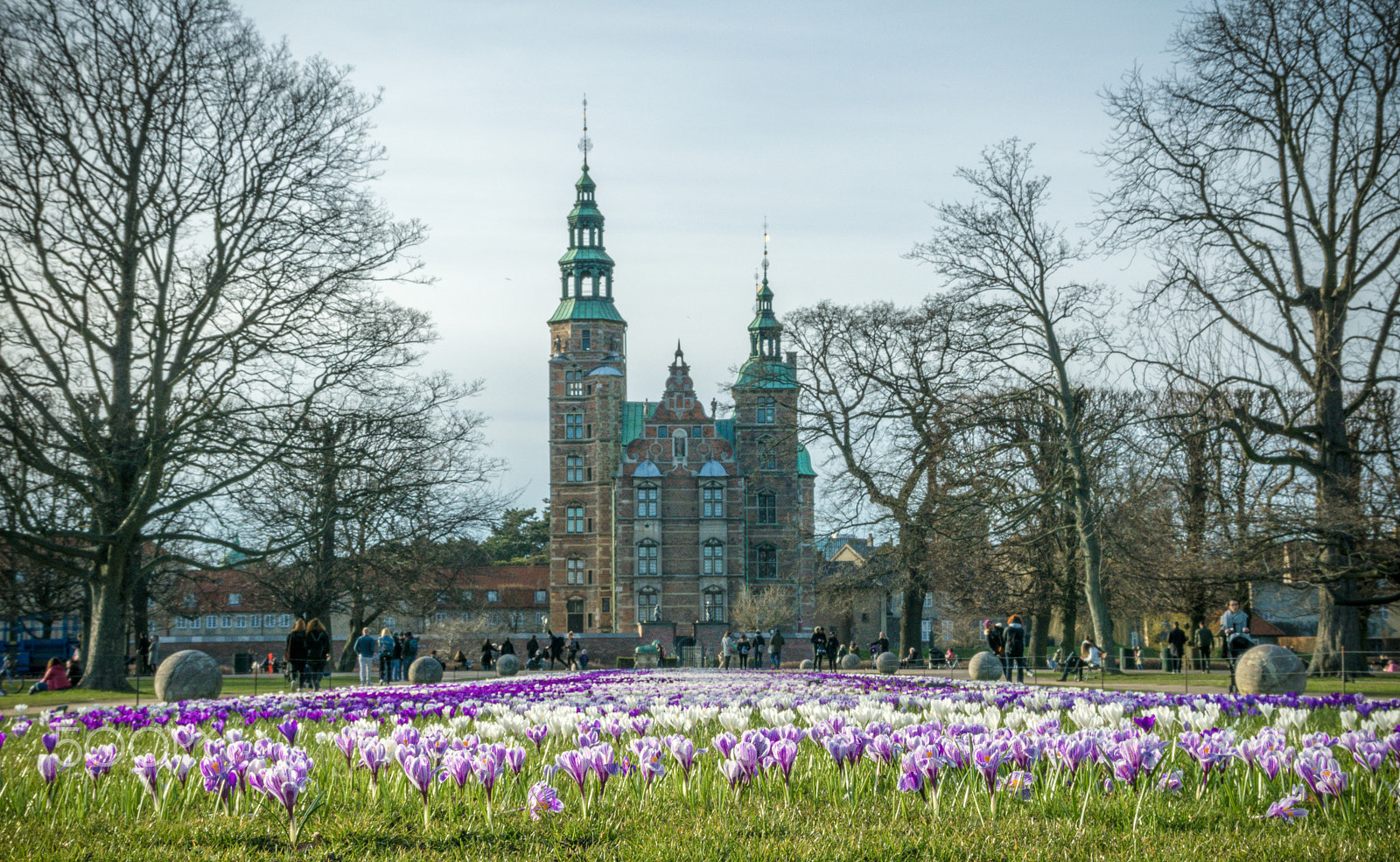 Nikon D5300 + Sigma 18-200mm F3.5-6.3 II DC OS HSM sample photo. The signs of spring photography