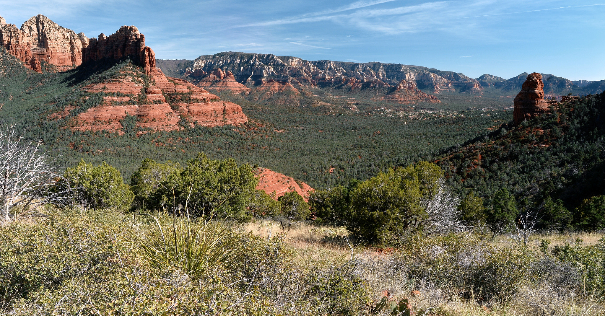 Nikon D4 + Nikon AF-S Nikkor 24mm F1.8G ED sample photo. Brin's mesa trail 2 photography