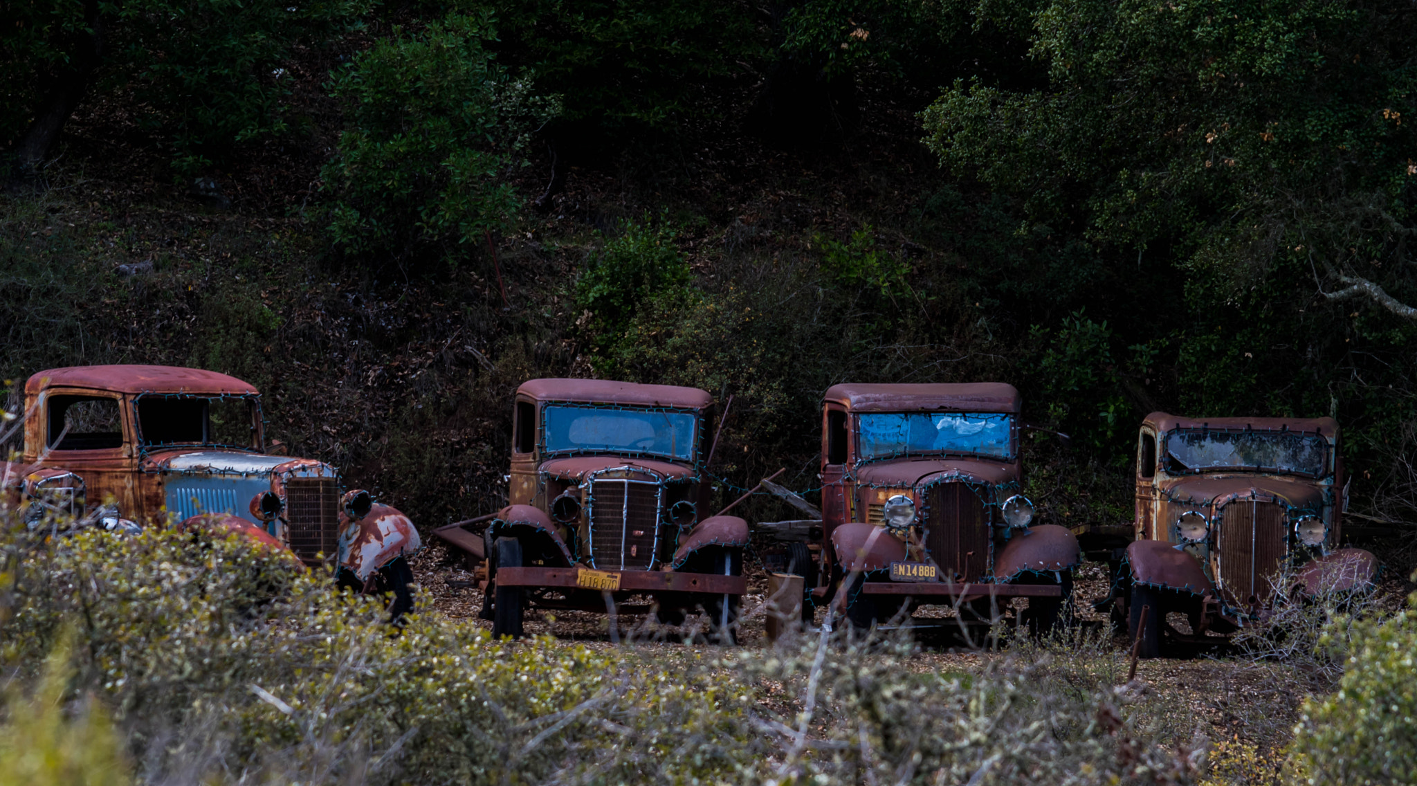 Nikon D5500 sample photo. All in a row photography