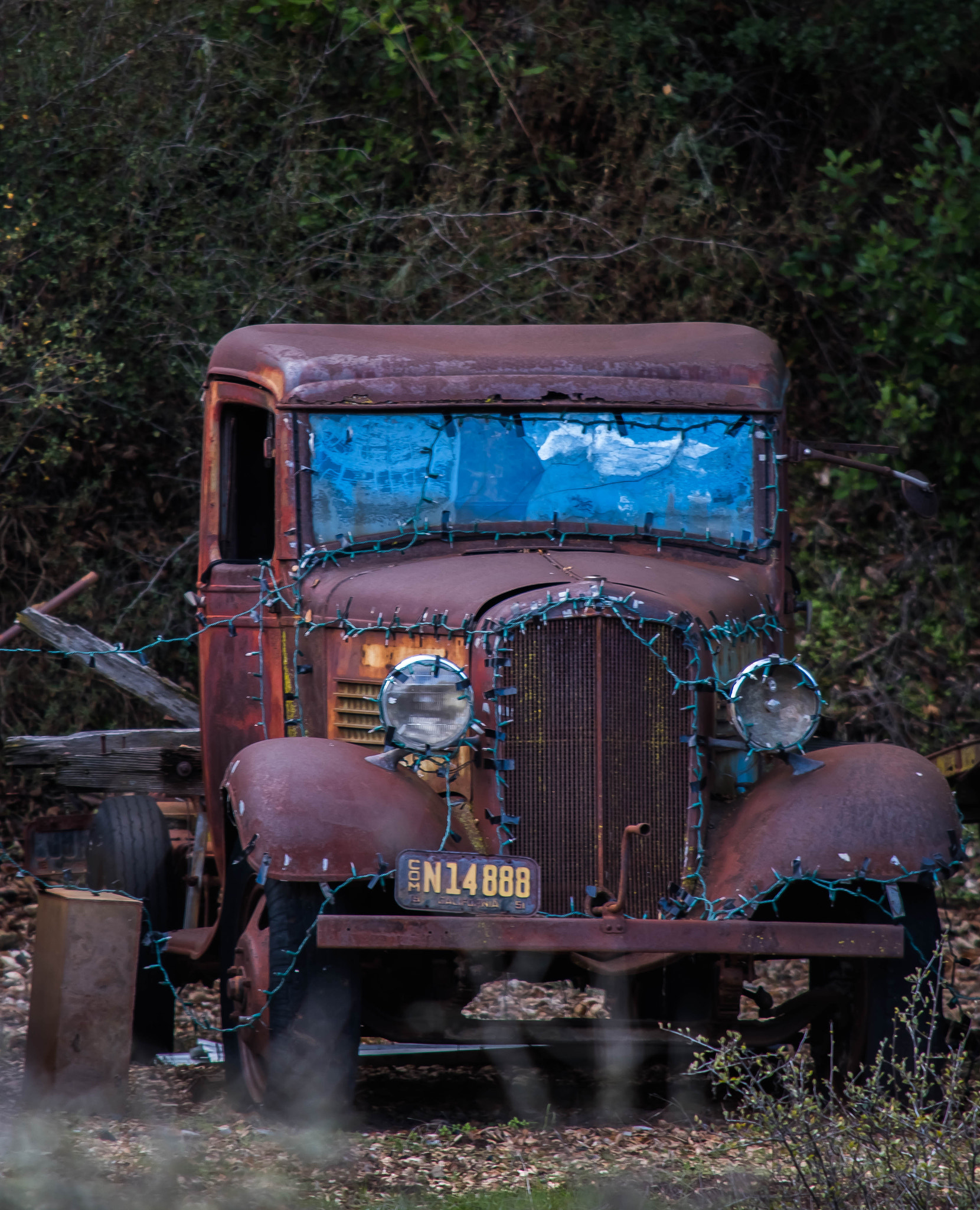 Nikon D5500 sample photo. I see you photography