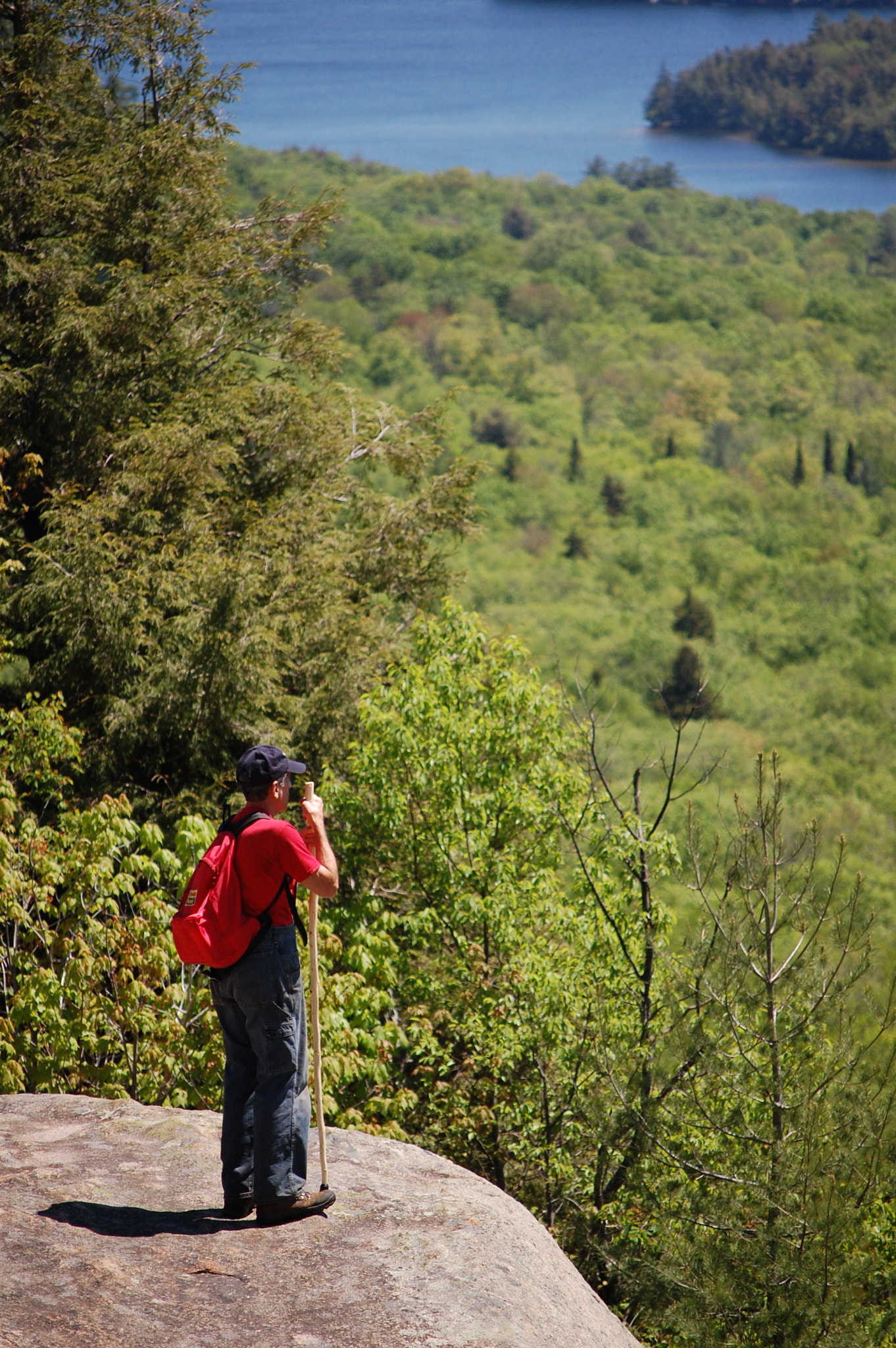 Nikon D40 sample photo. Overlook photography
