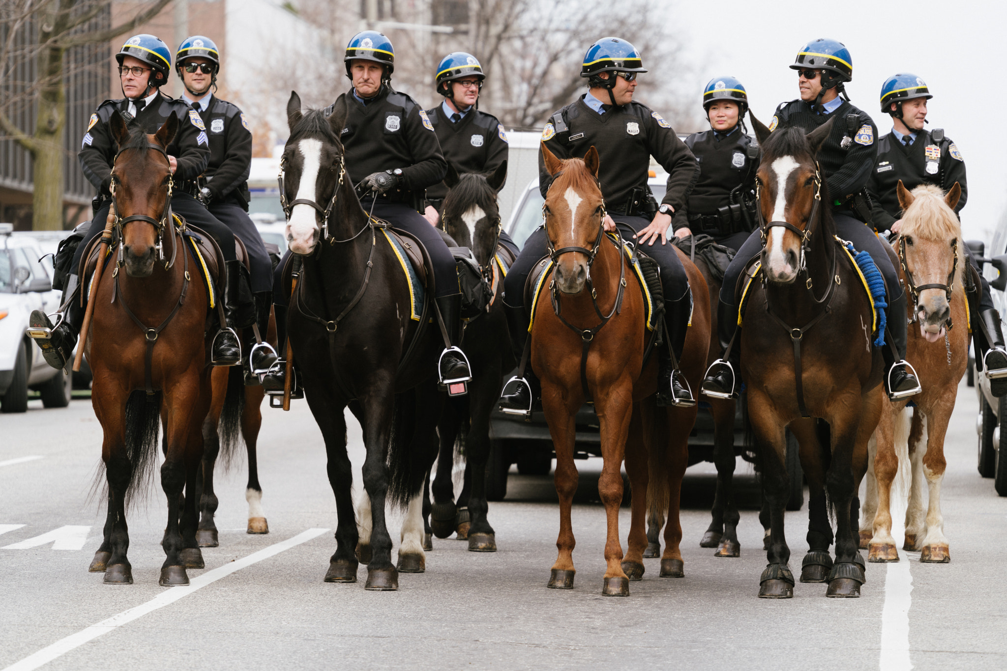 Sony a7R II + Sony FE 70-300mm F4.5-5.6 G OSS sample photo. Rally, philadelphia 3/24/2017 photography