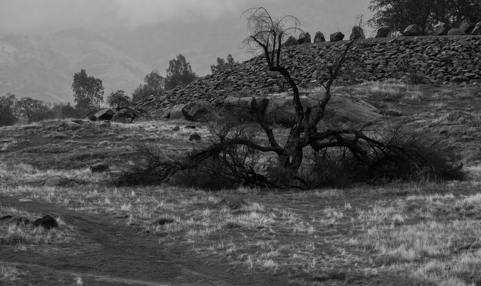 Nikon D5500 sample photo. Weathered photography
