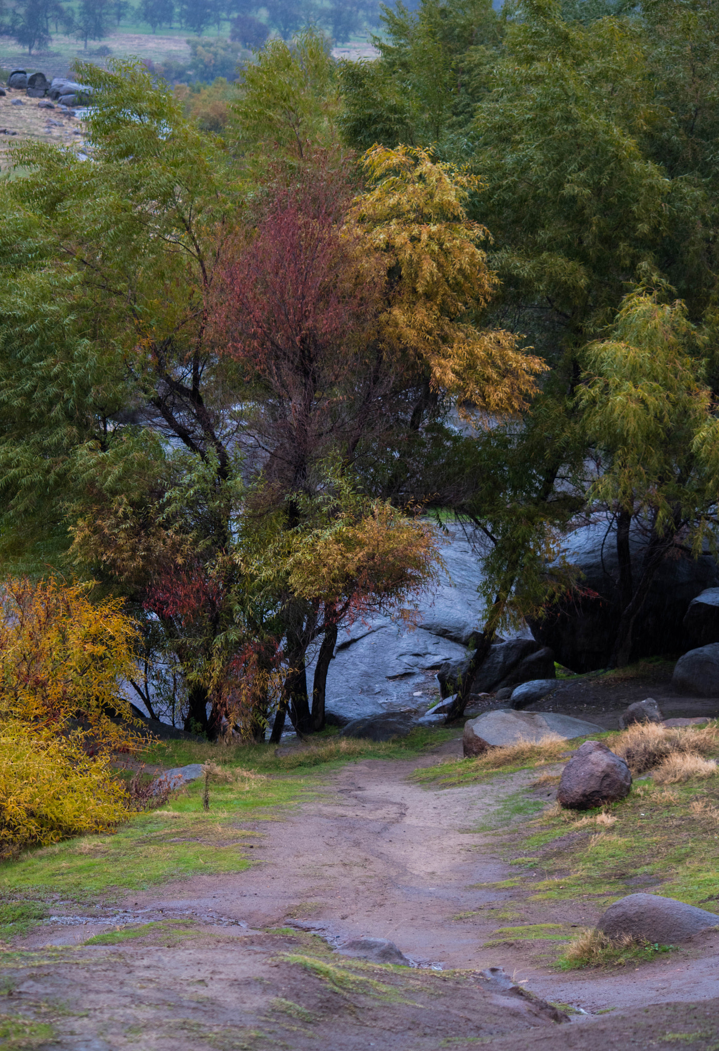 Nikon D5500 sample photo. Drawn in photography