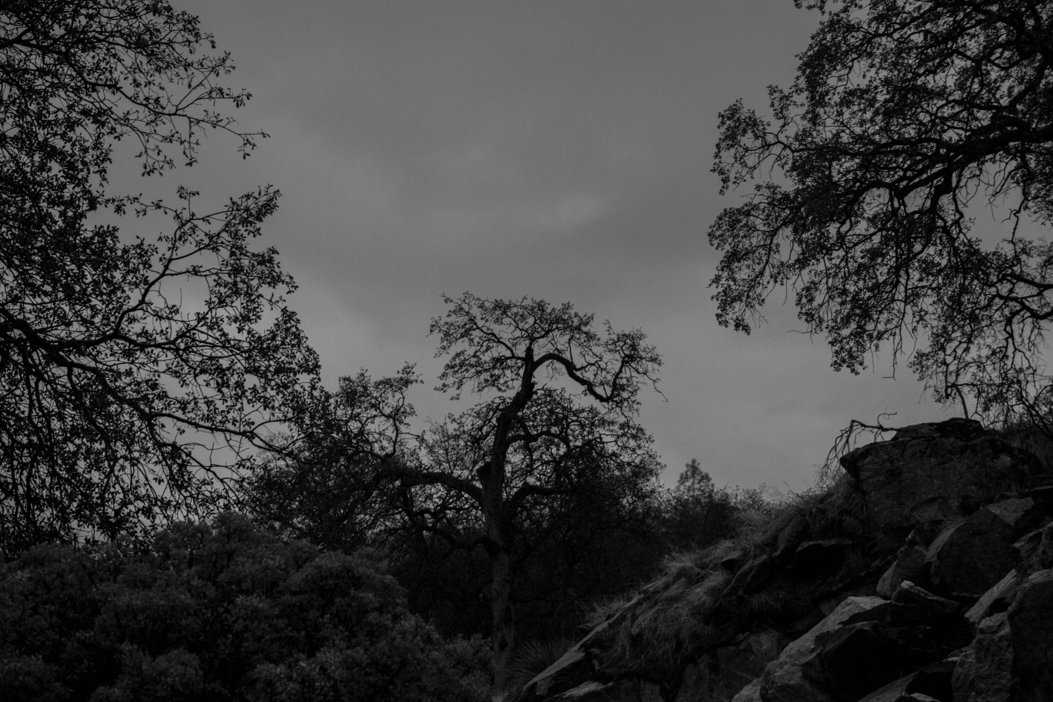 Nikon D5500 sample photo. I am small but great photography
