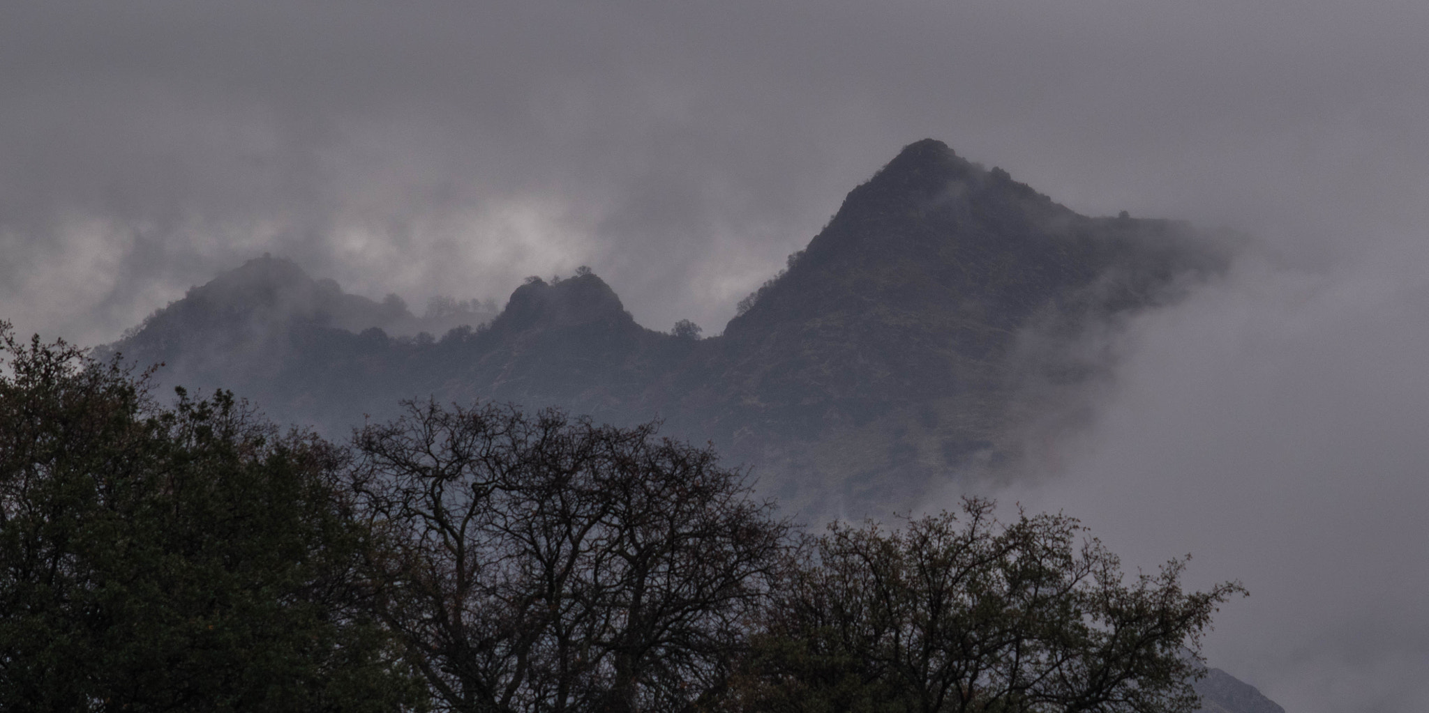 Nikon D5500 sample photo. Rolling fog photography