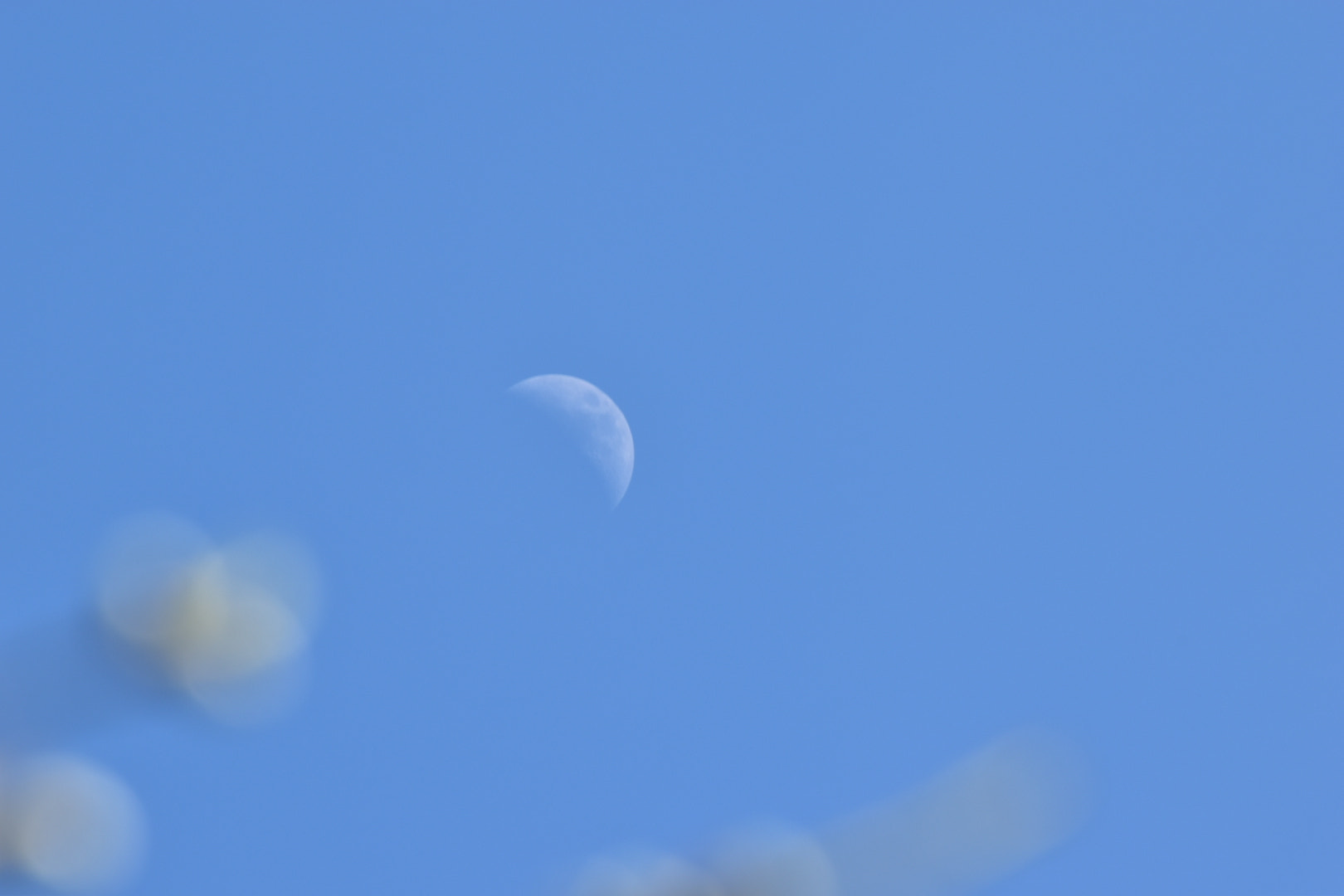 Nikon D5500 sample photo