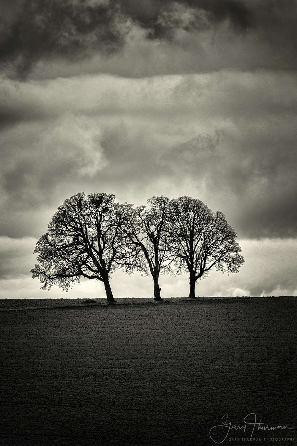 Canon EF 70-300mm F4-5.6L IS USM sample photo. Springtime storm photography