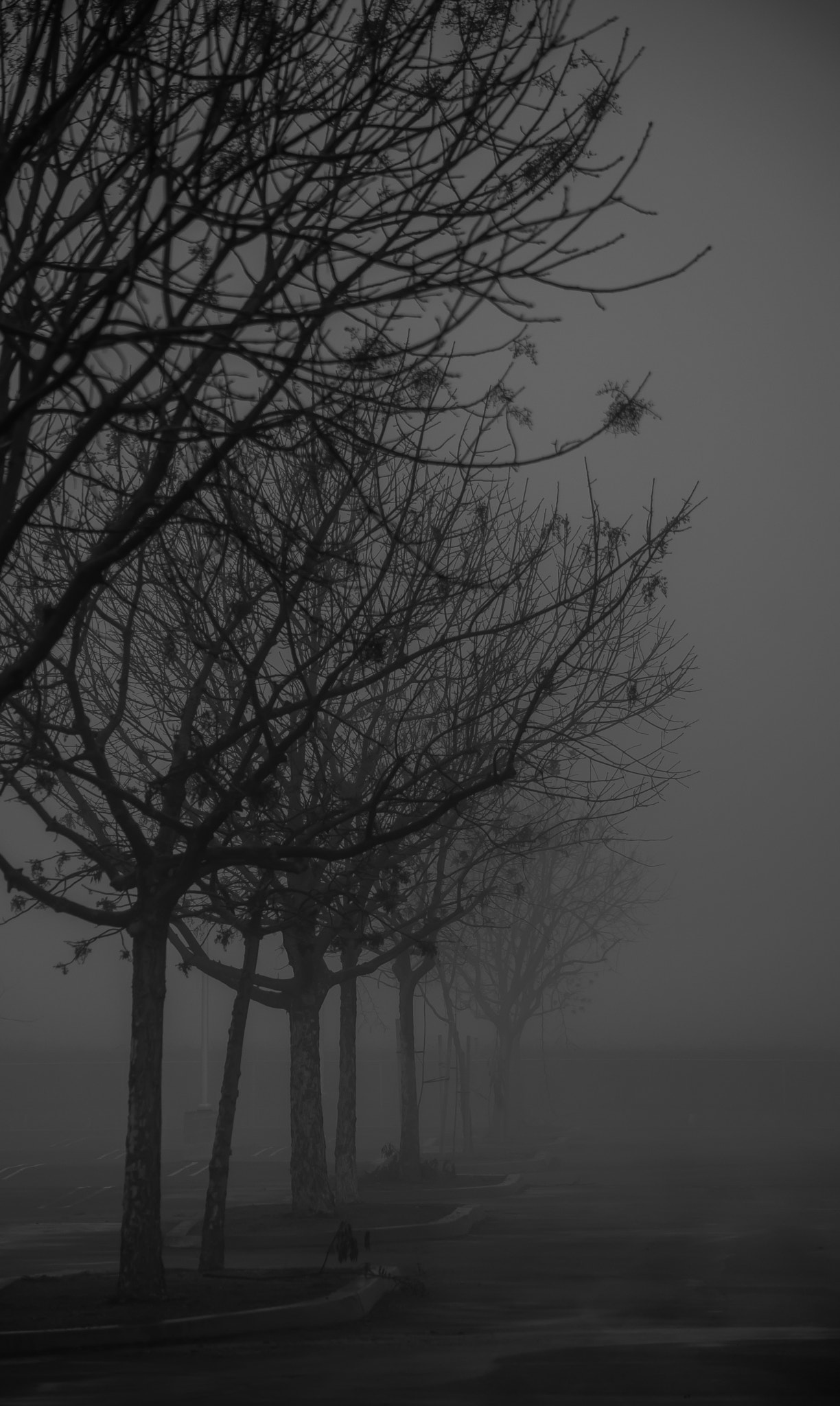 Nikon D5500 sample photo. Lonely parking photography